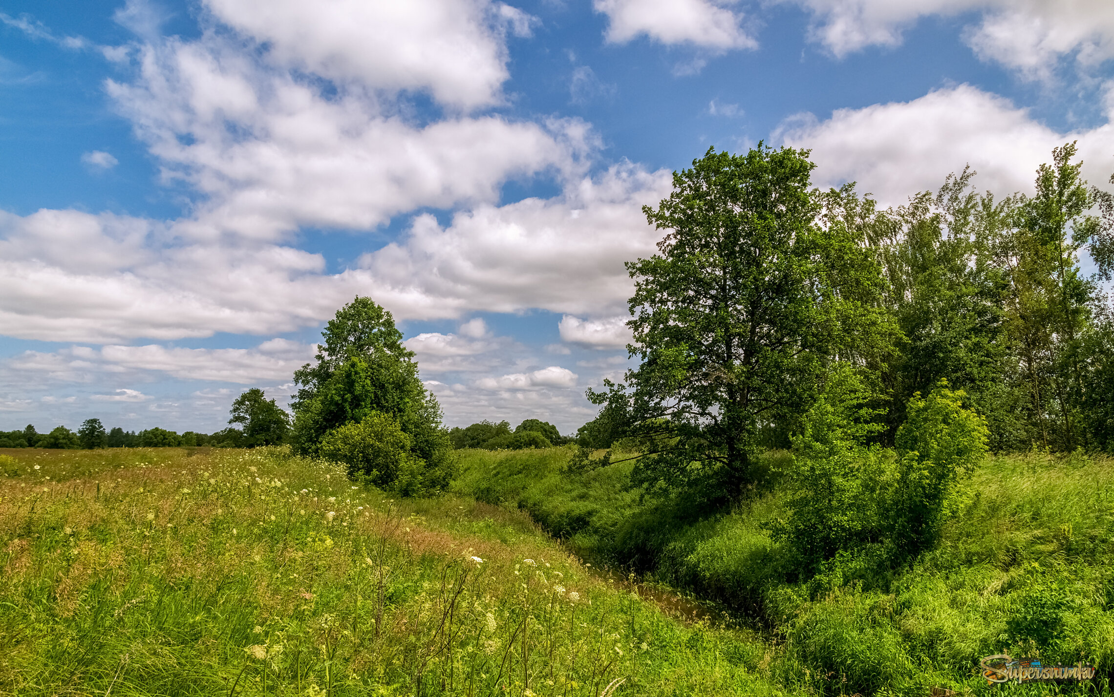 Подмосковный июнь 
