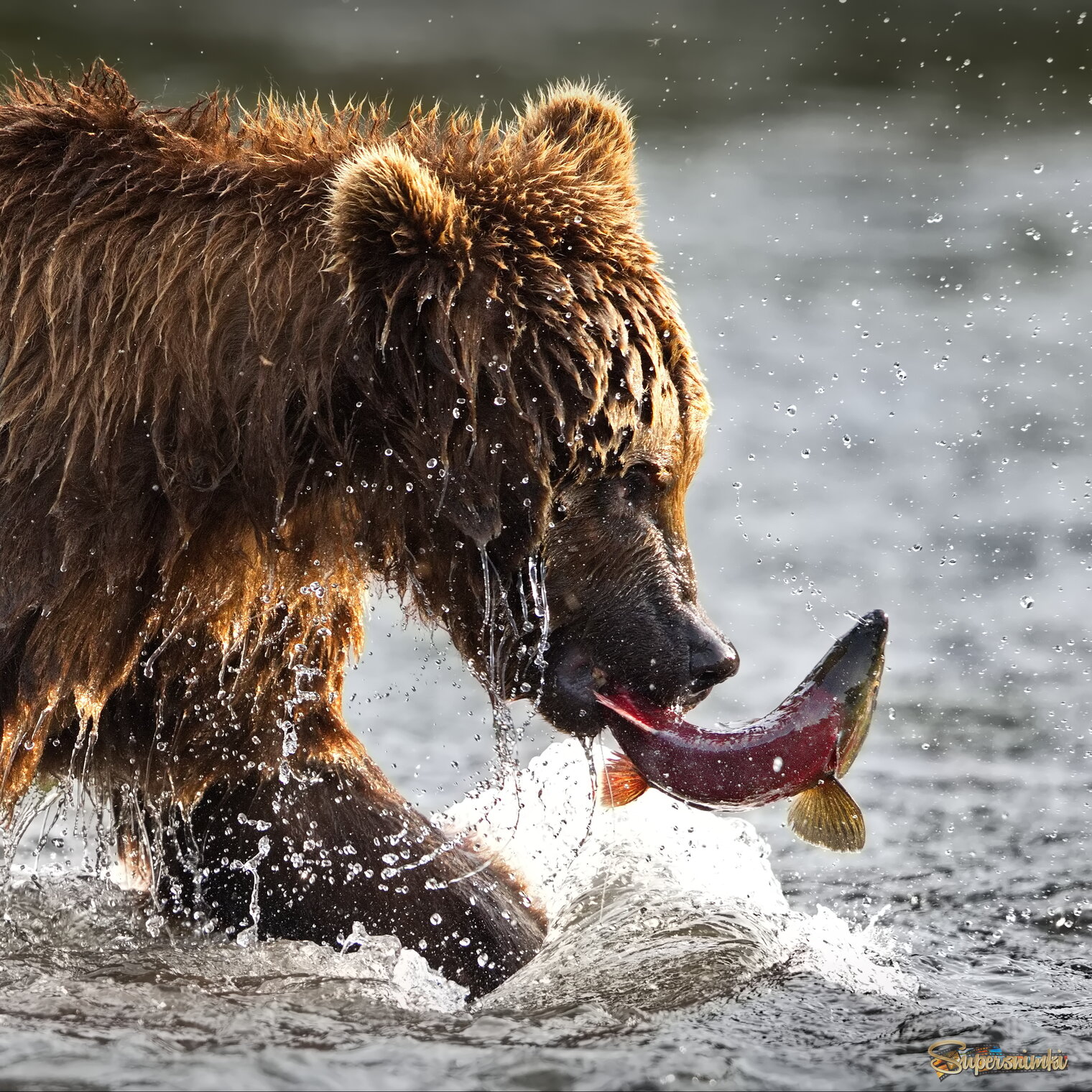 Когда вкусное полезно