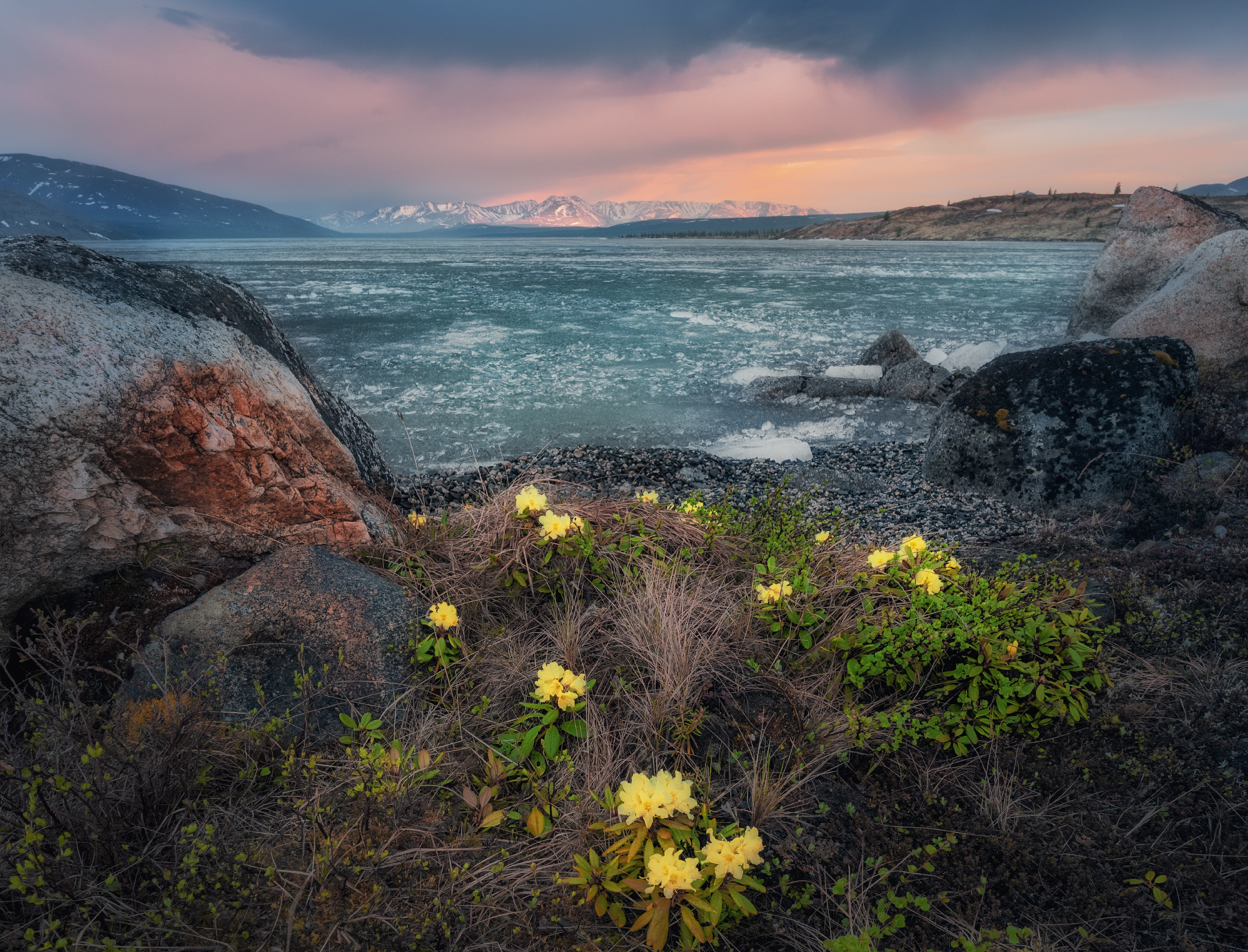 И лёд, и пламя, и цветы