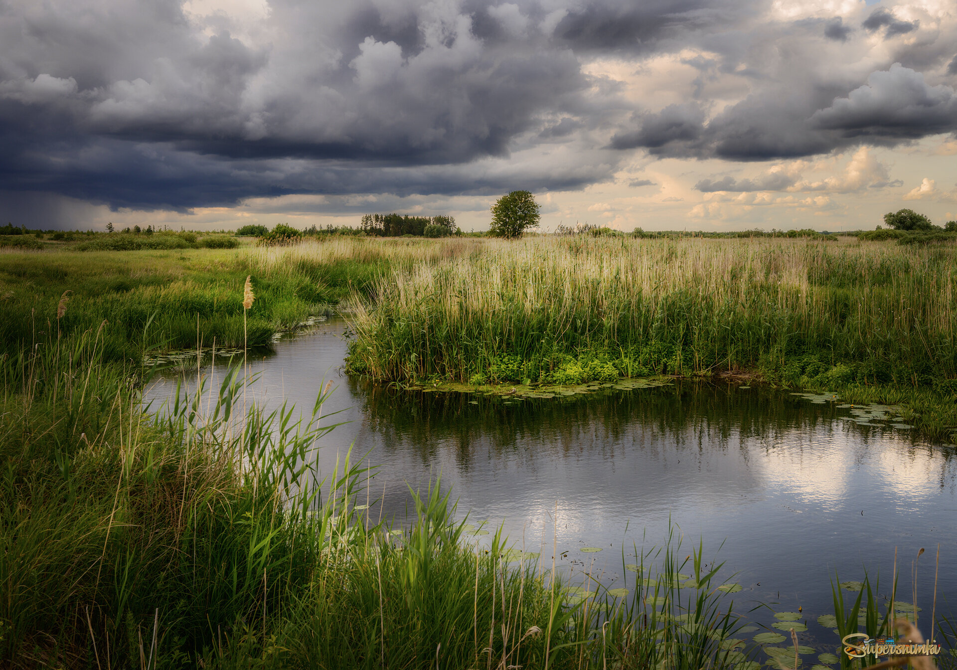 Вот и туча собралась