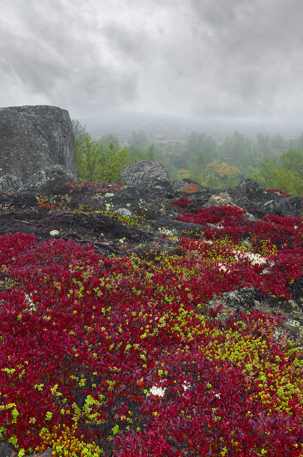 Мончетундра (подножие, предгорье)