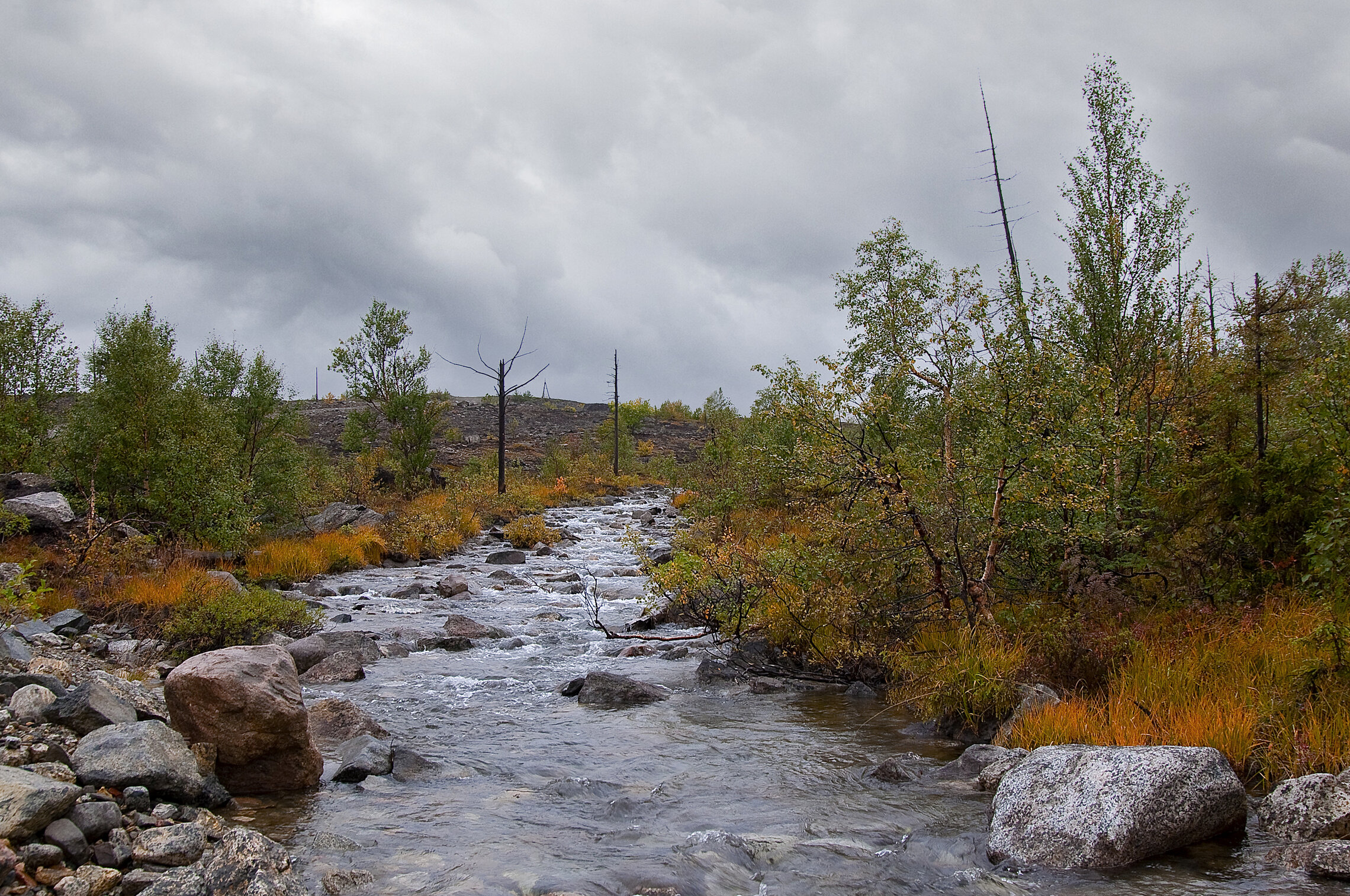 Мончетундра (подножие, предгорье)