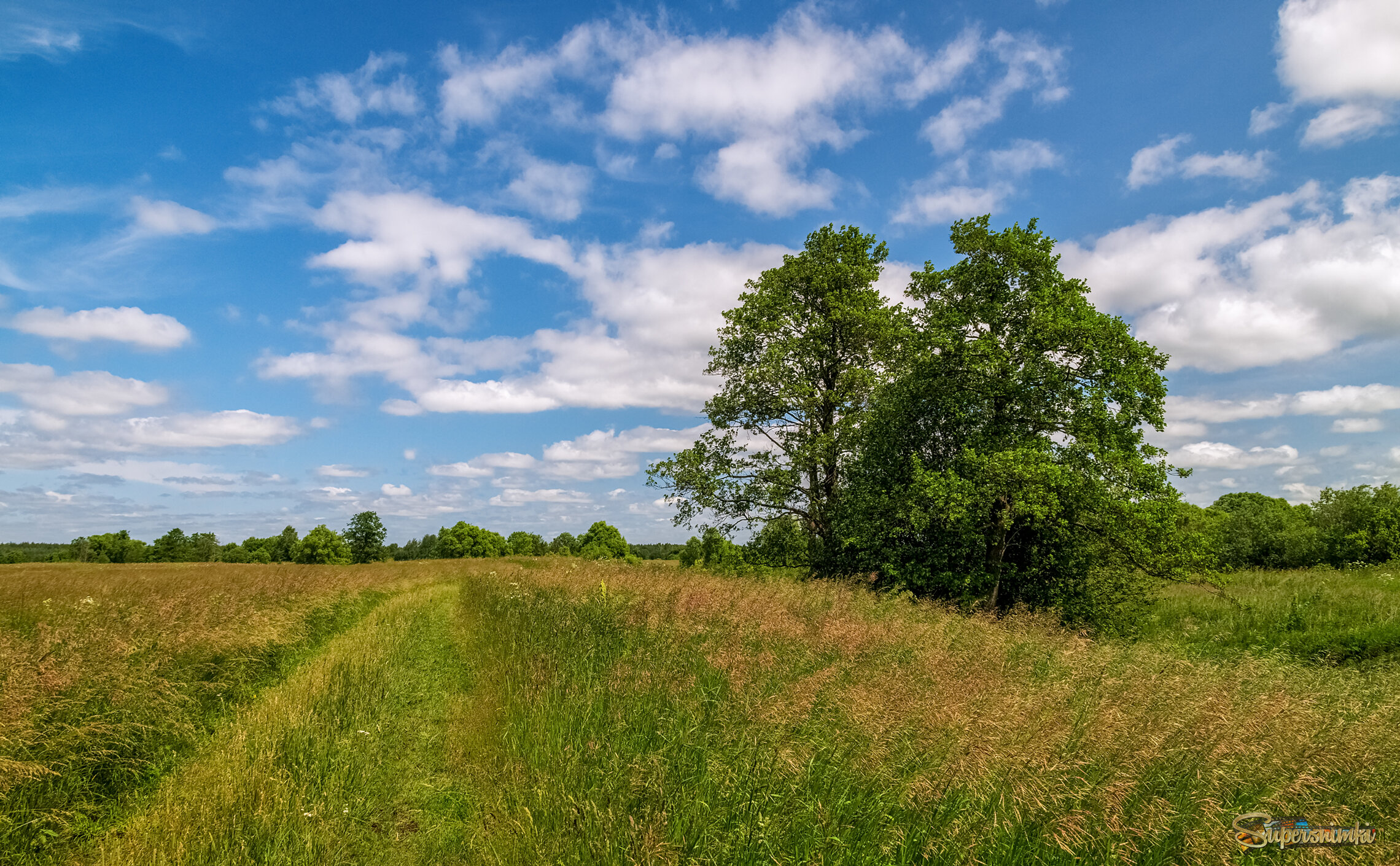 Подмосковный июнь 2 