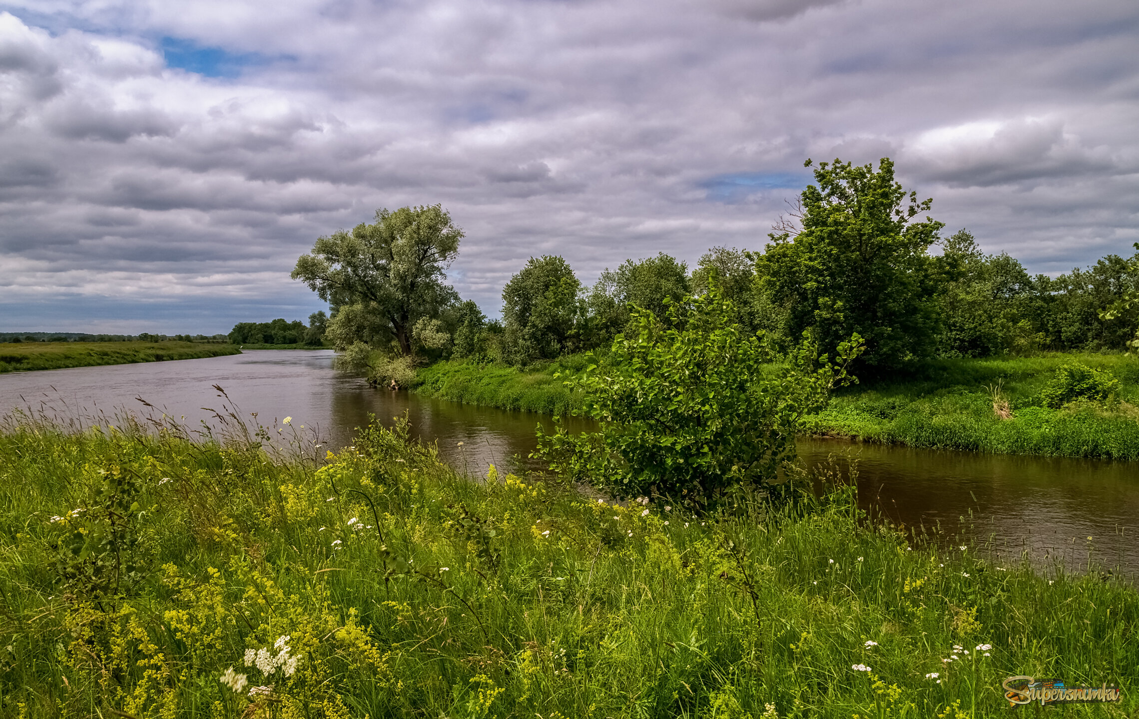 Подмосковный июнь 3