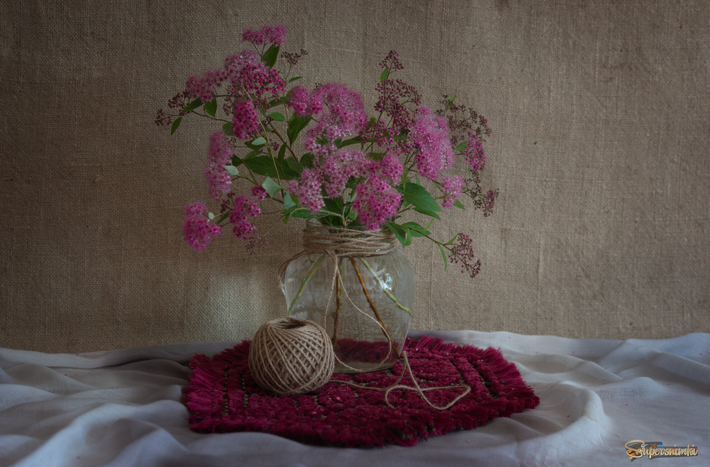 Розовая спирея.