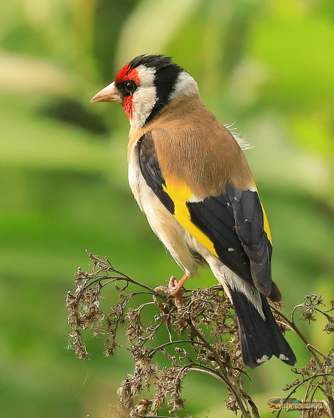 Грустно как-то