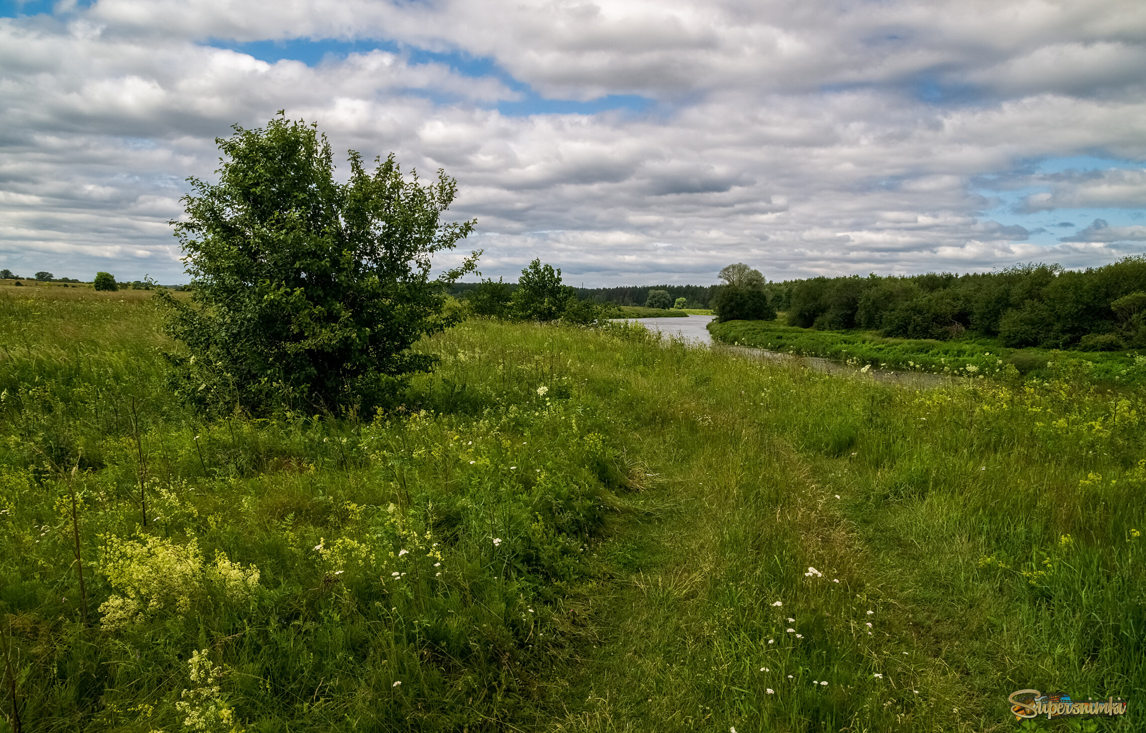 Подмосковный июнь 4 