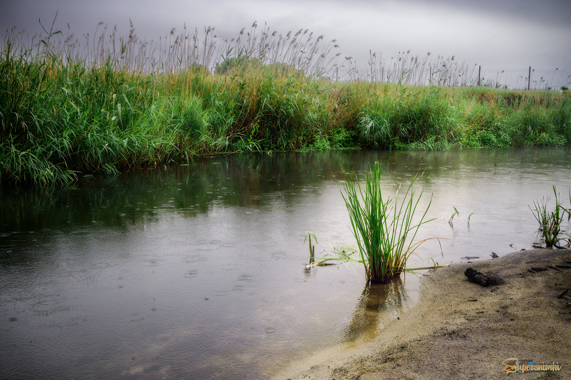 Слегка освежив берега изумрудные 