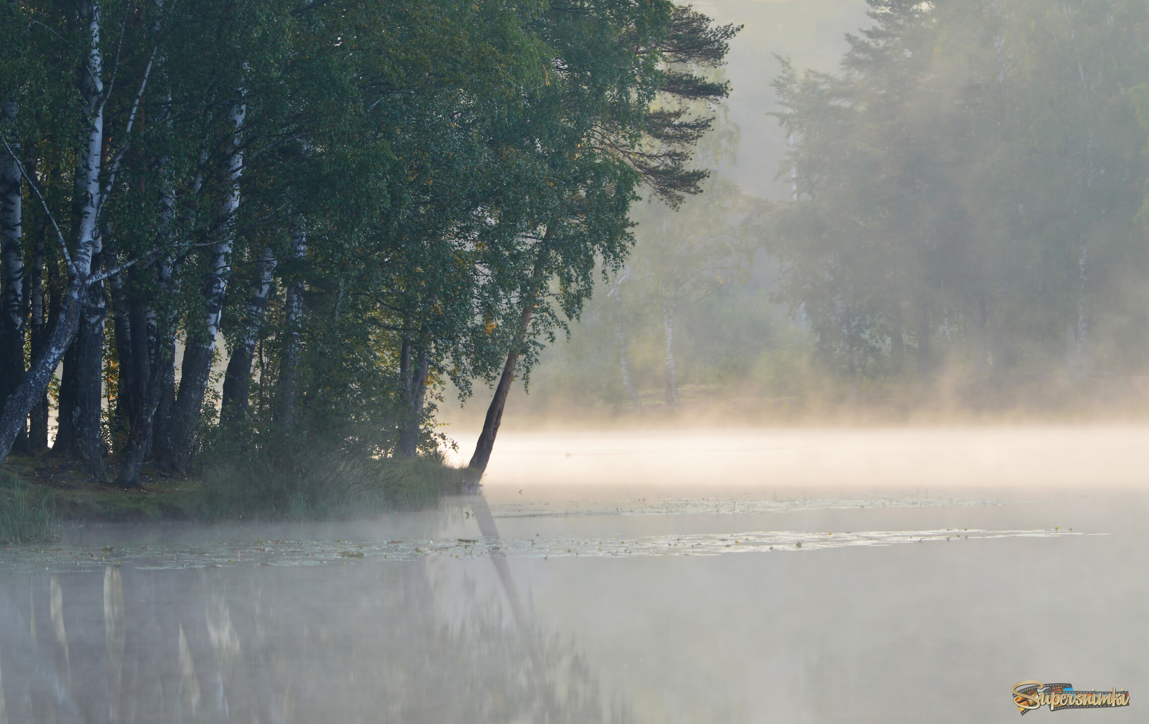 Туманное утро.......