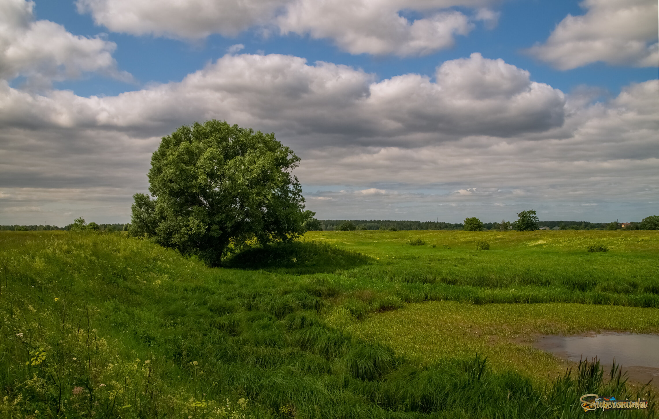 Подмосковный июнь 5 