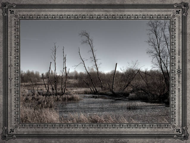 landscape