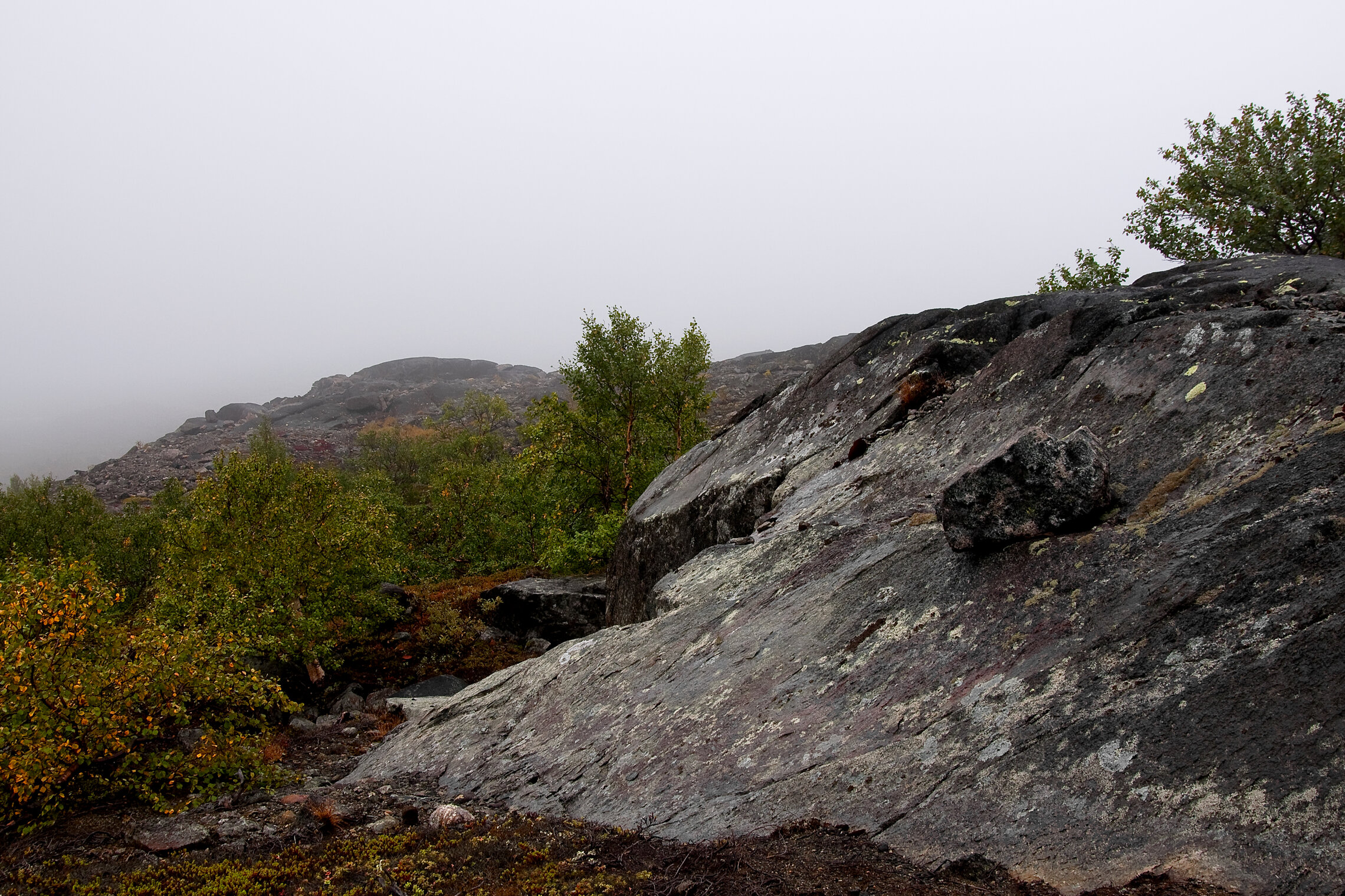 Мончетундра (подножие, предгорье)