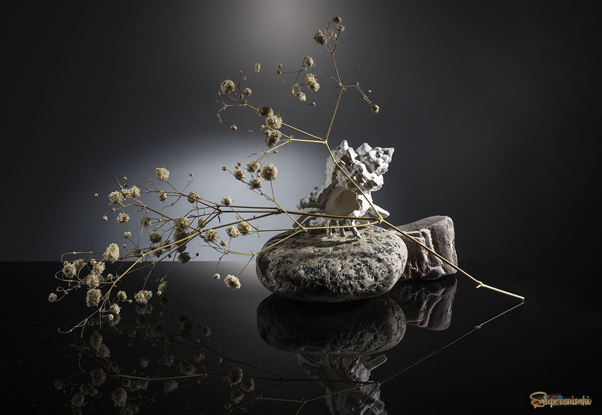 "Простой этюд с ракушкой"