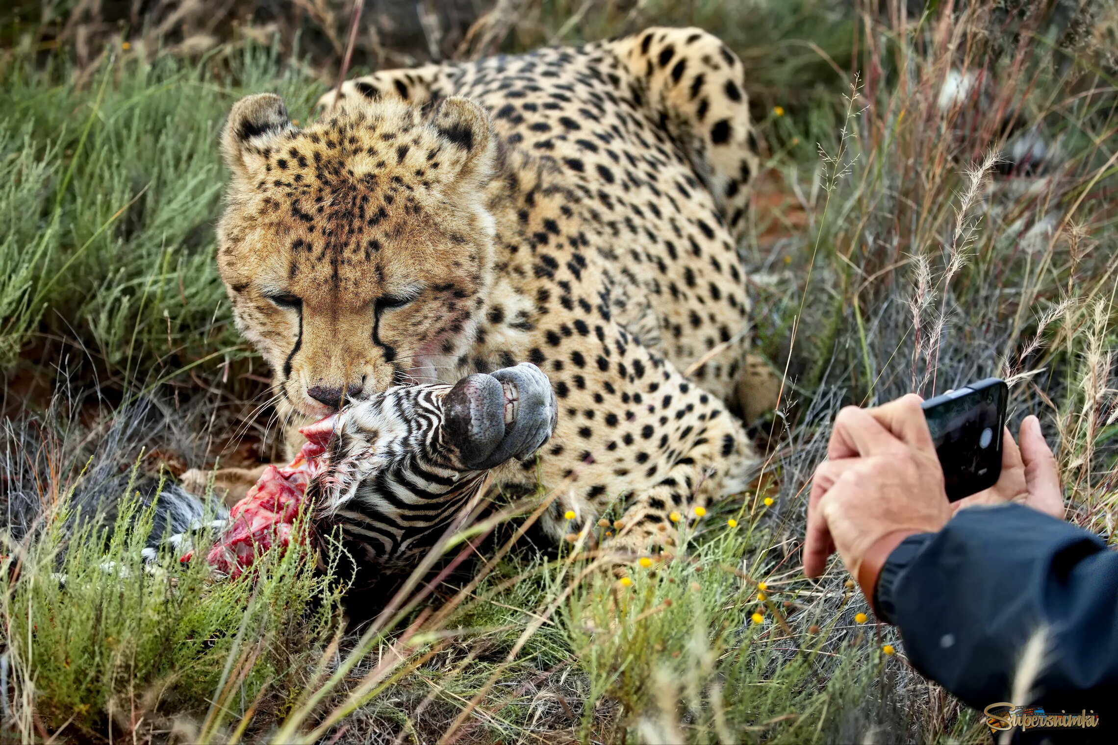 Репортаж из горячей точки