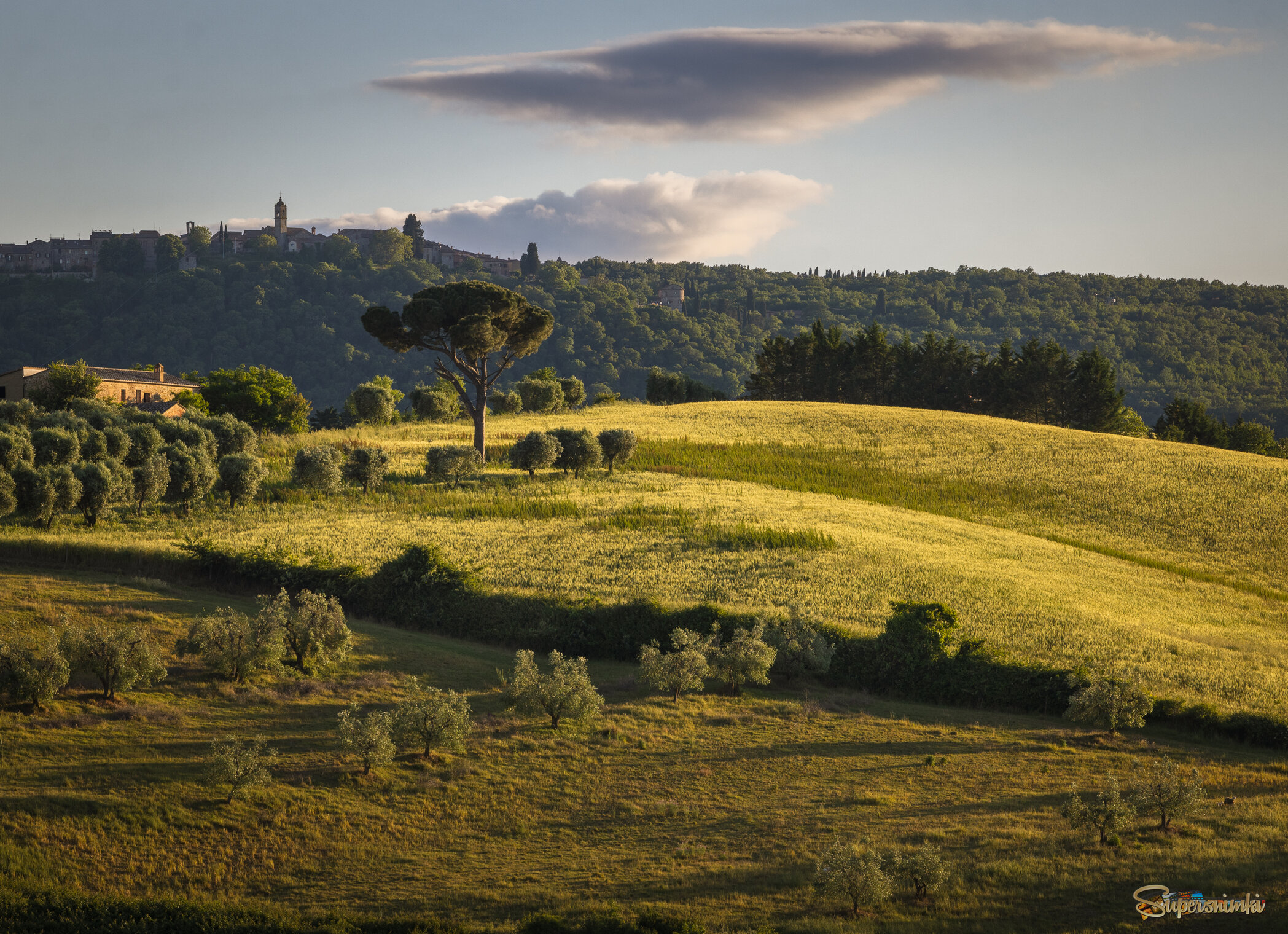 Вечерний свет