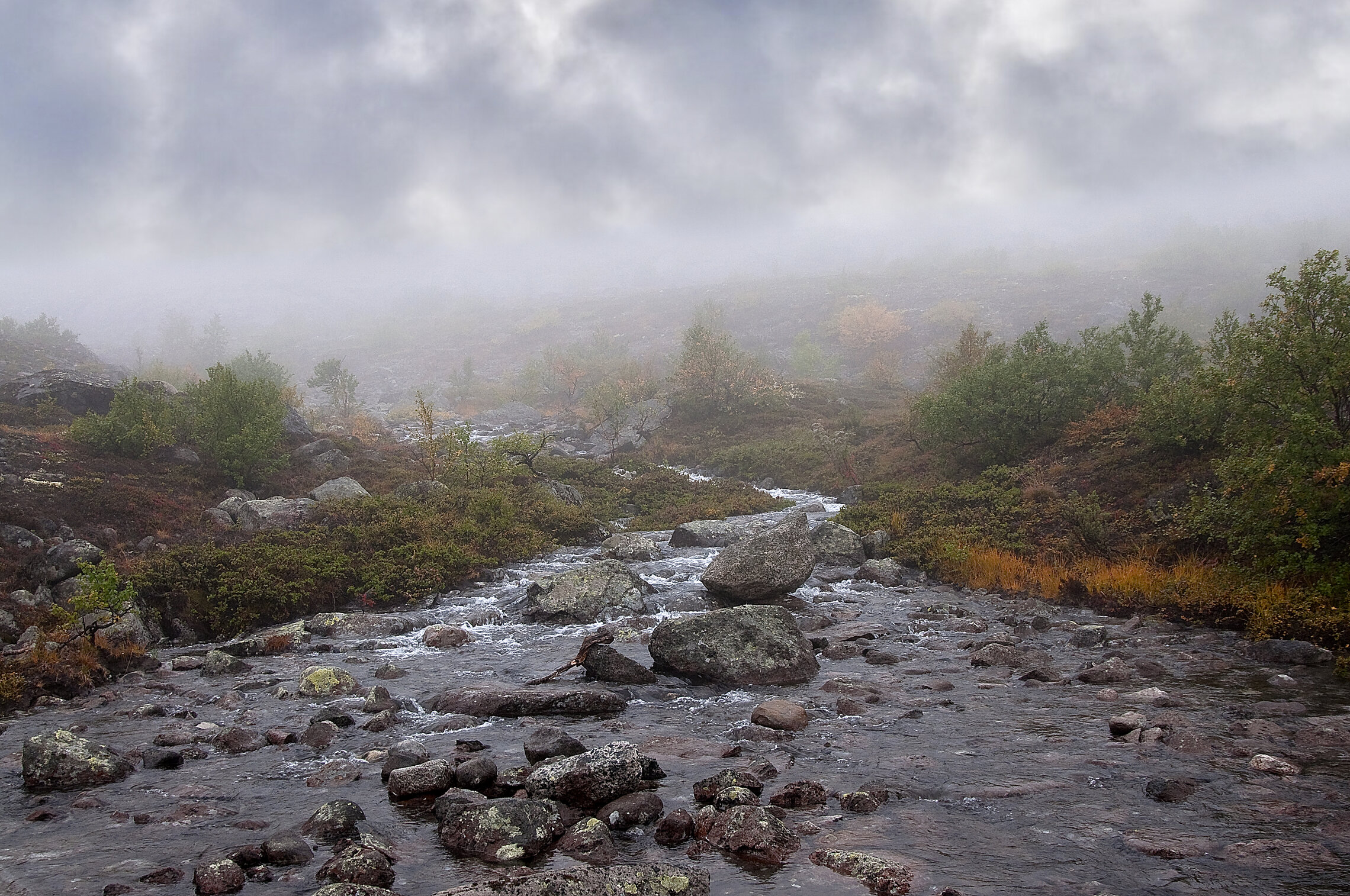 Мончетундра (подножие, предгорье)