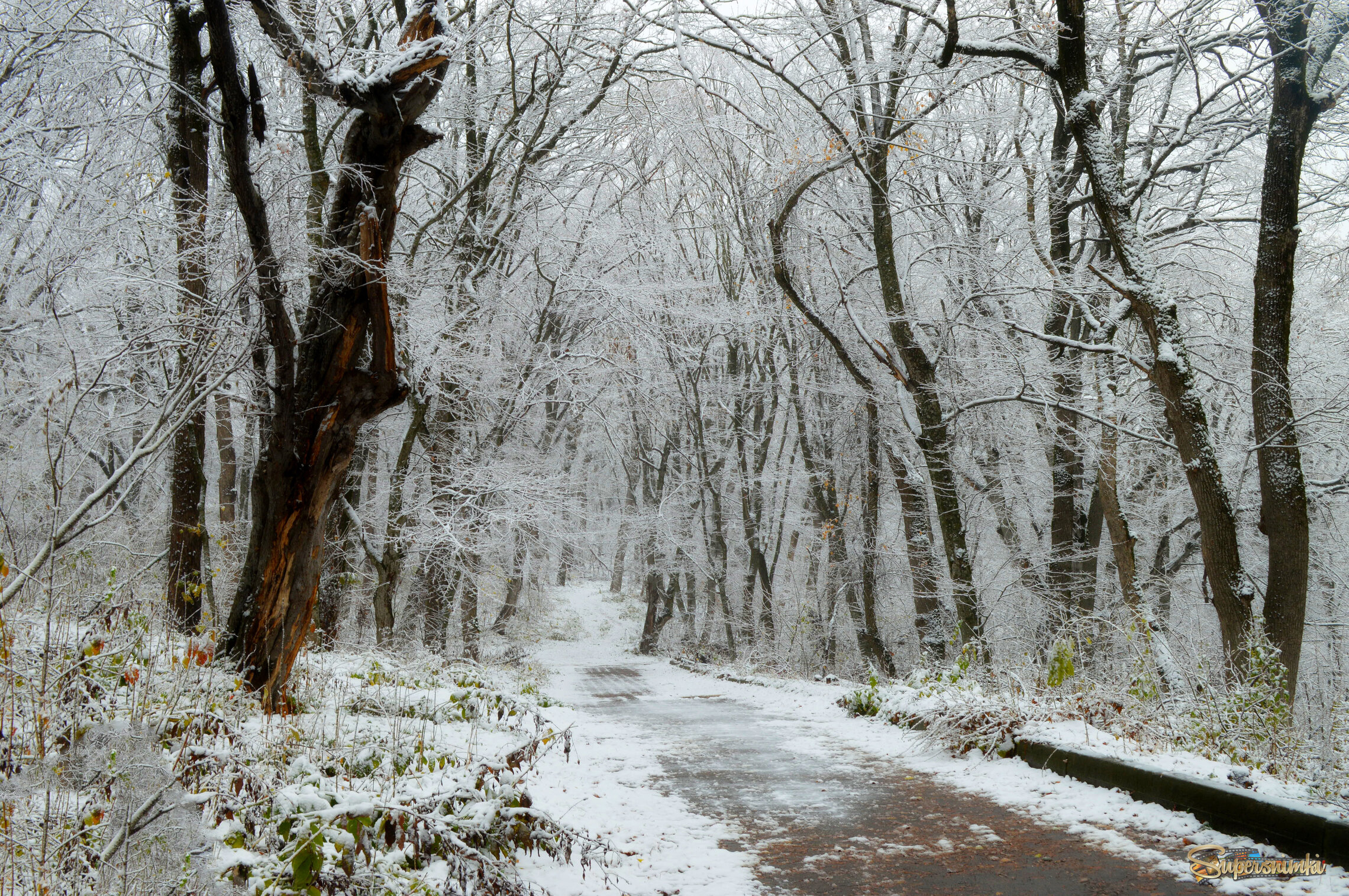 Пути запорошенные.......