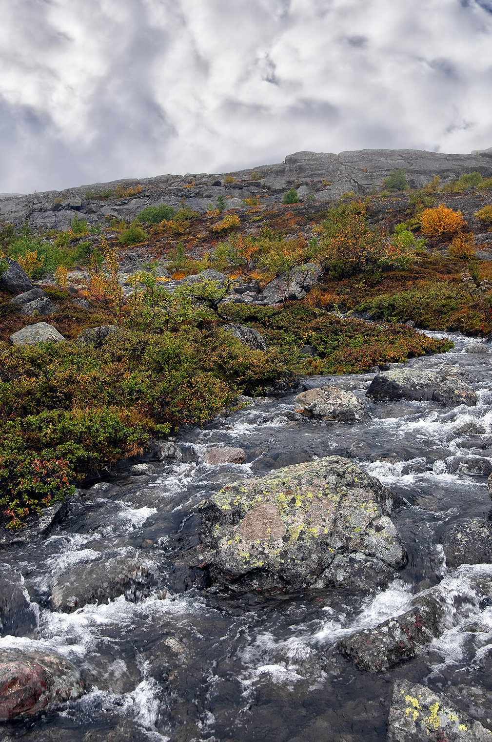 Мончетундра (подножие, предгорье)