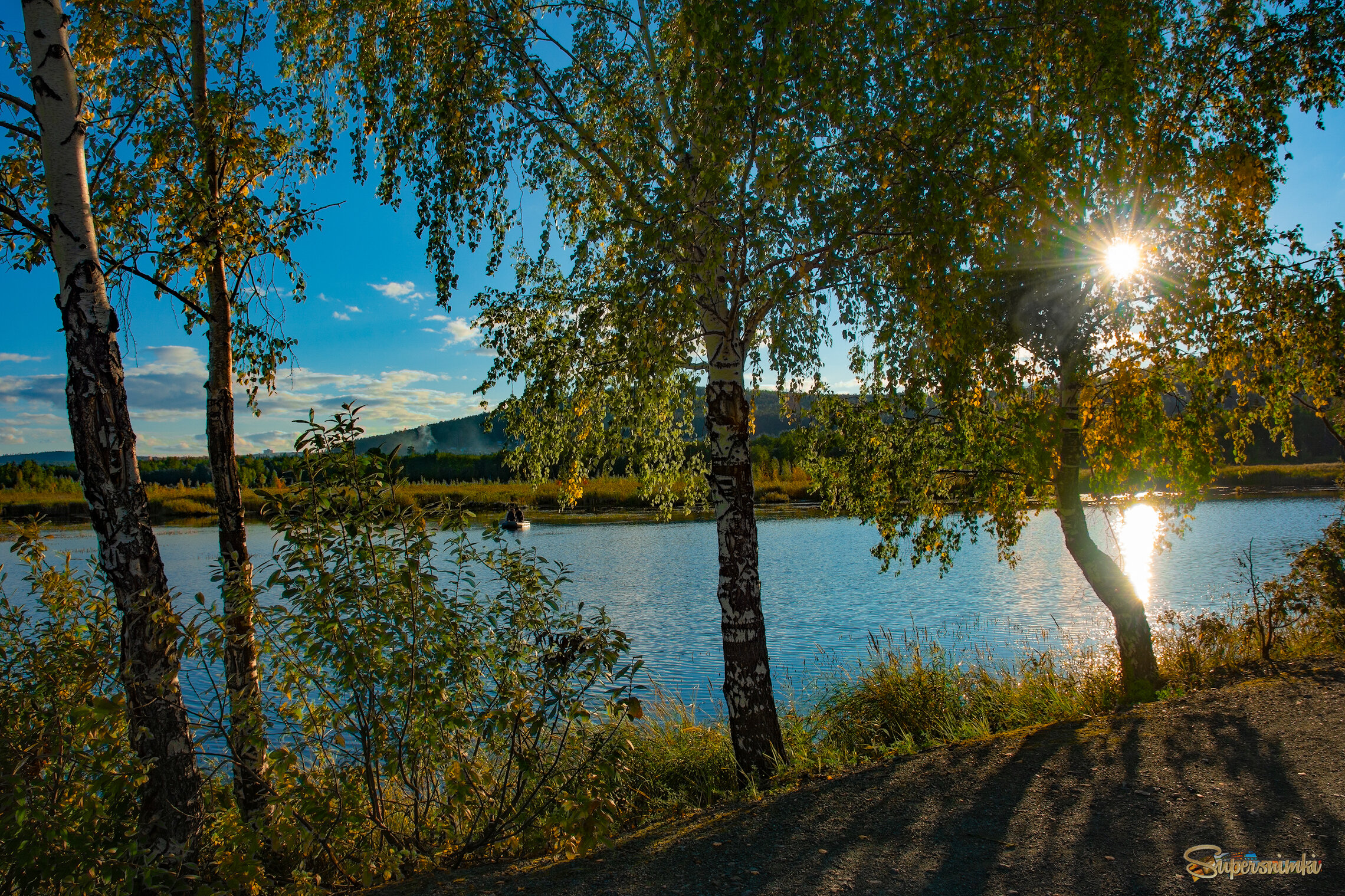 И блещет озеро среди стволов берёз 