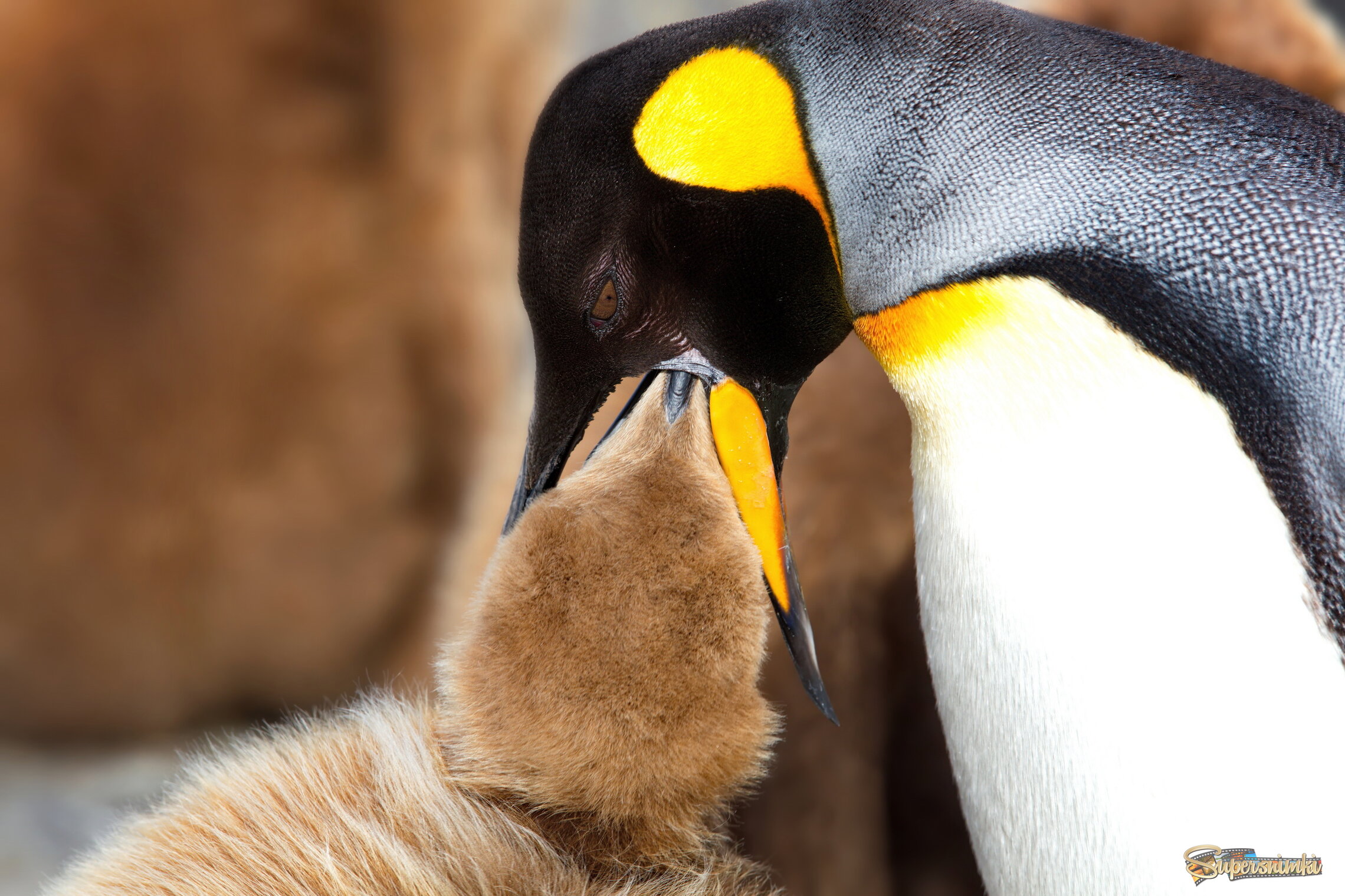 Вкусный завтрак
