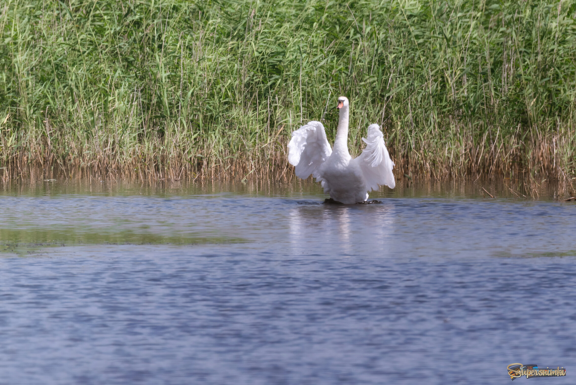Я ПОКАЖУ ТЕБЕ КРАСИВОЕ...