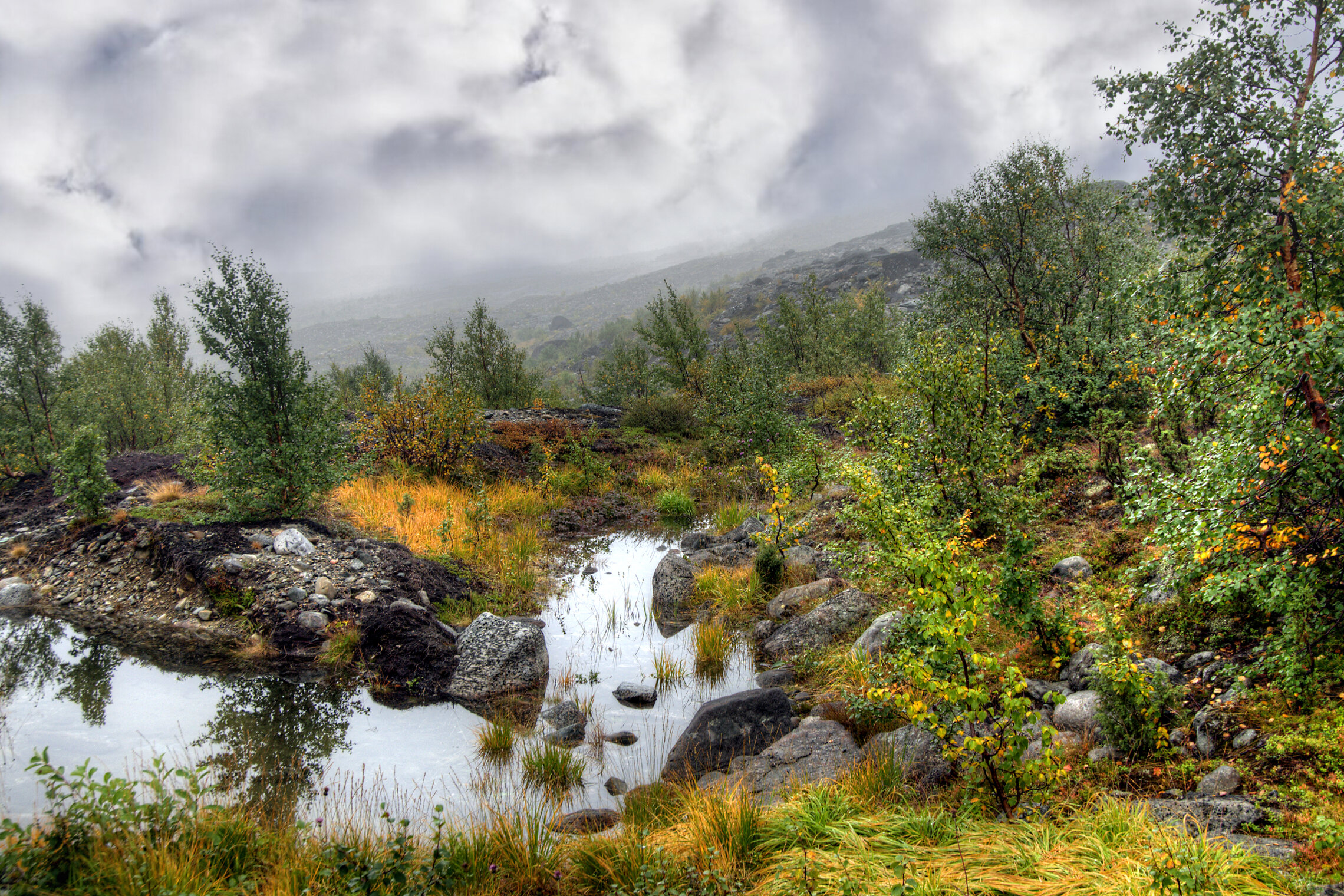 Мончетундра (подножие, предгорье)