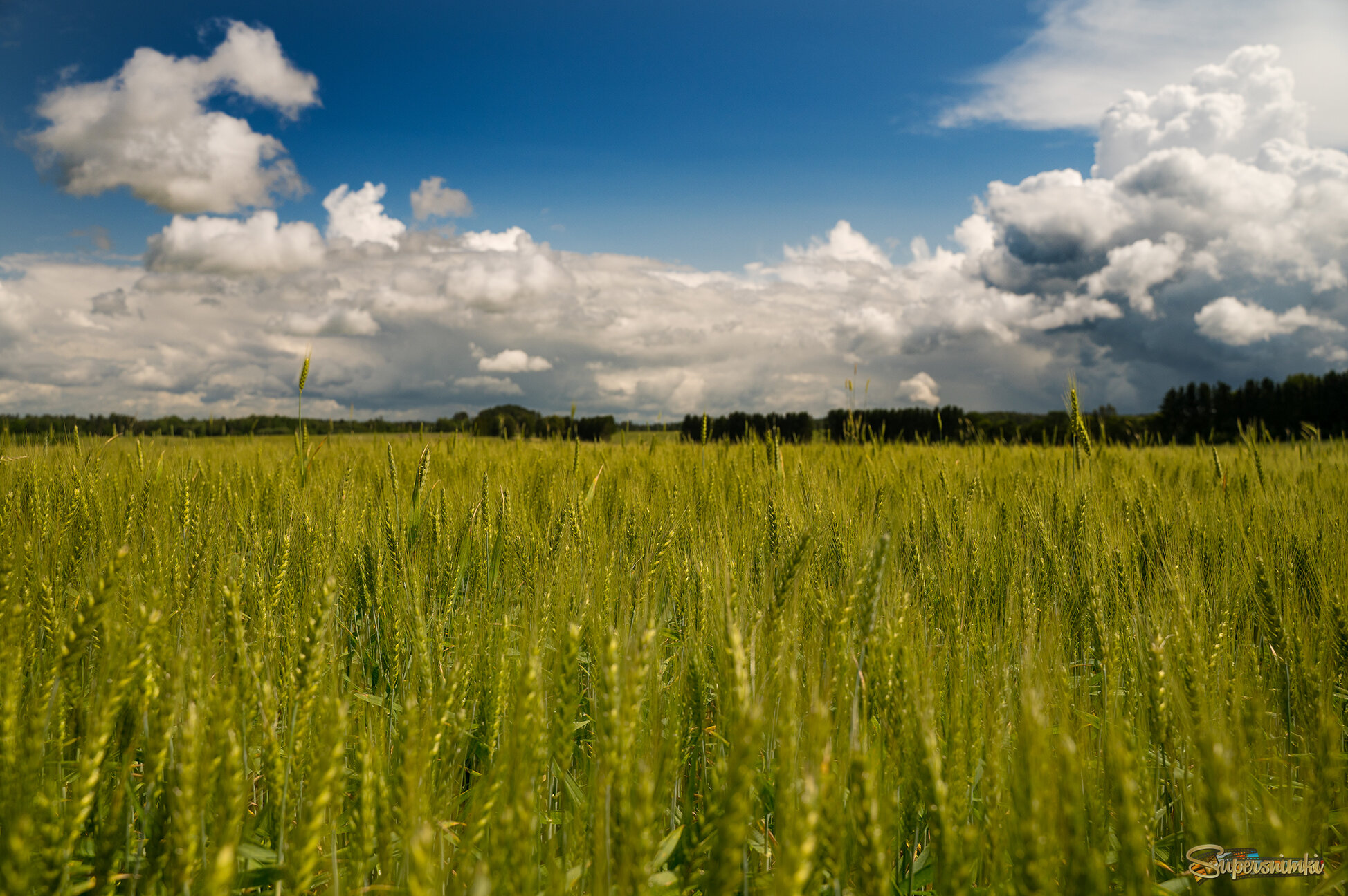 685e7aba23111182f86389af