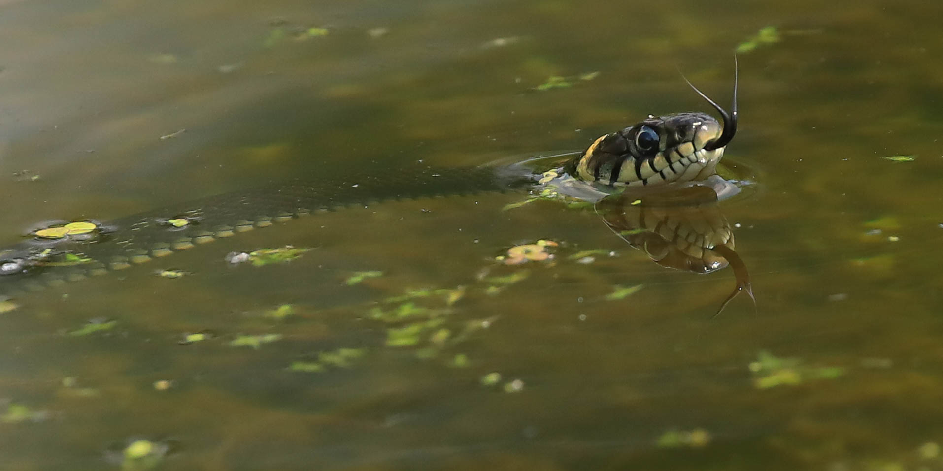 Пора на рыбалку