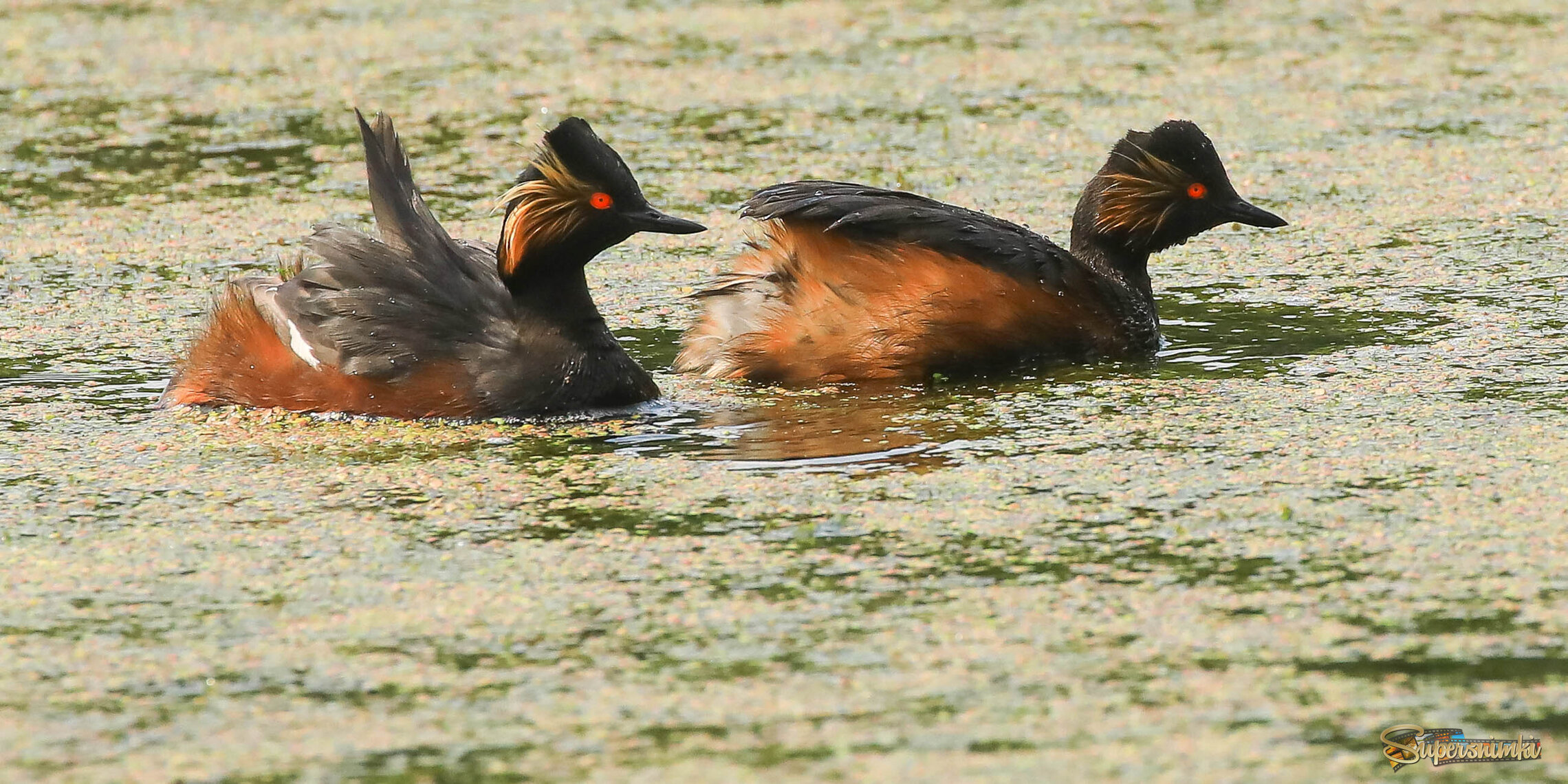 На ветру вдвоём