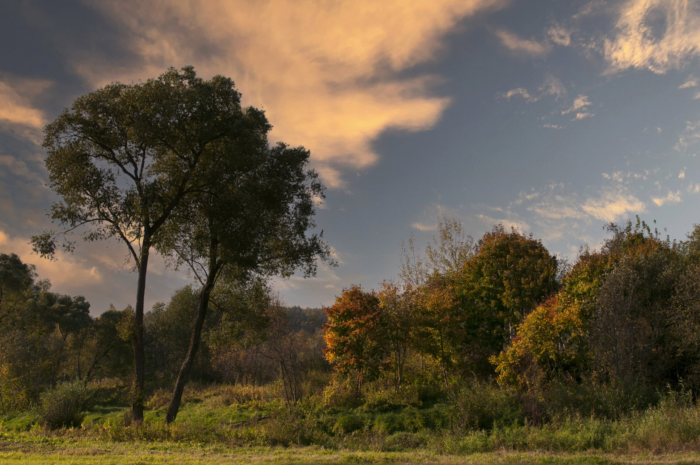 Landscape. Берег реки Истра