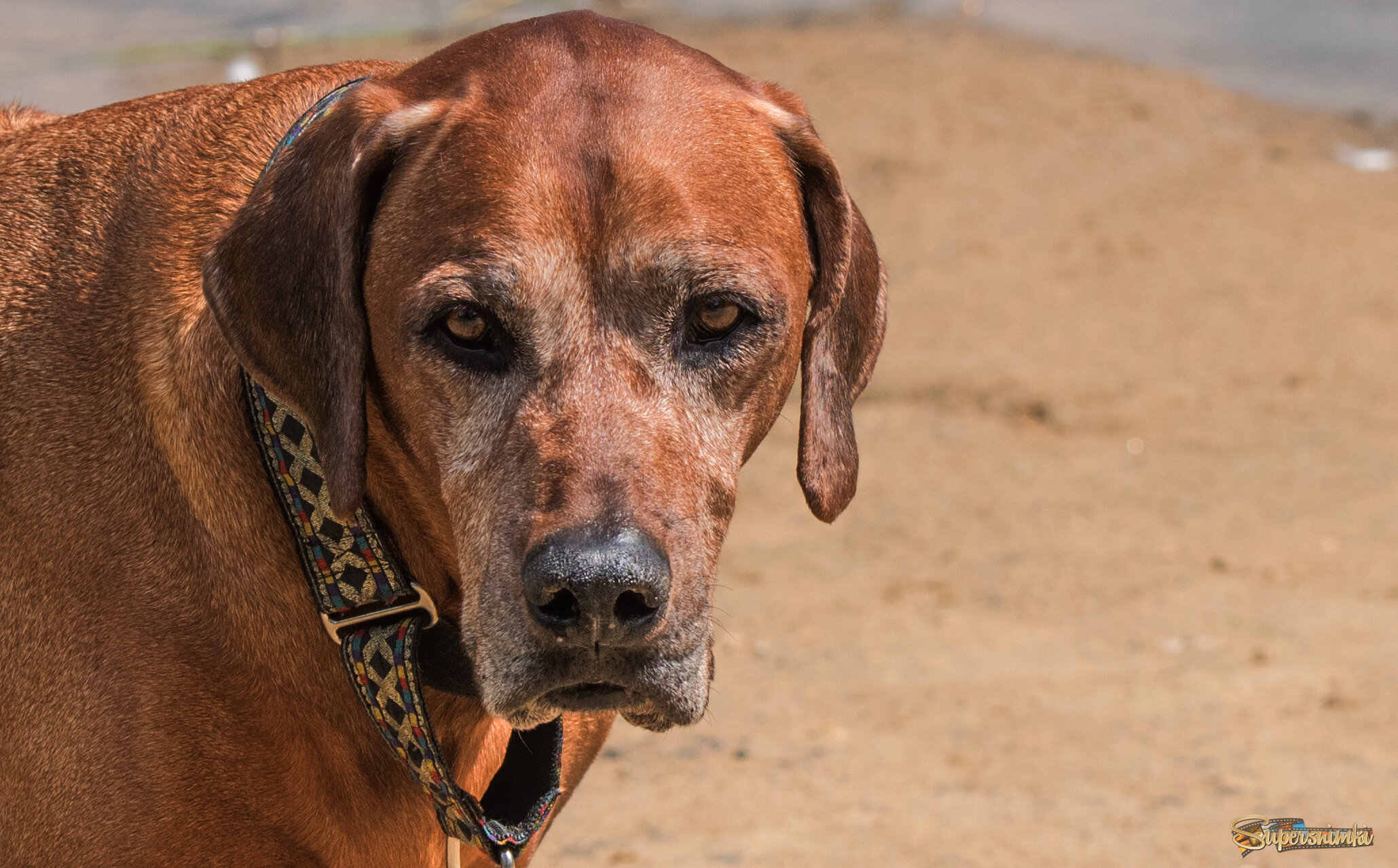 Жизненный опыт во взгляде.