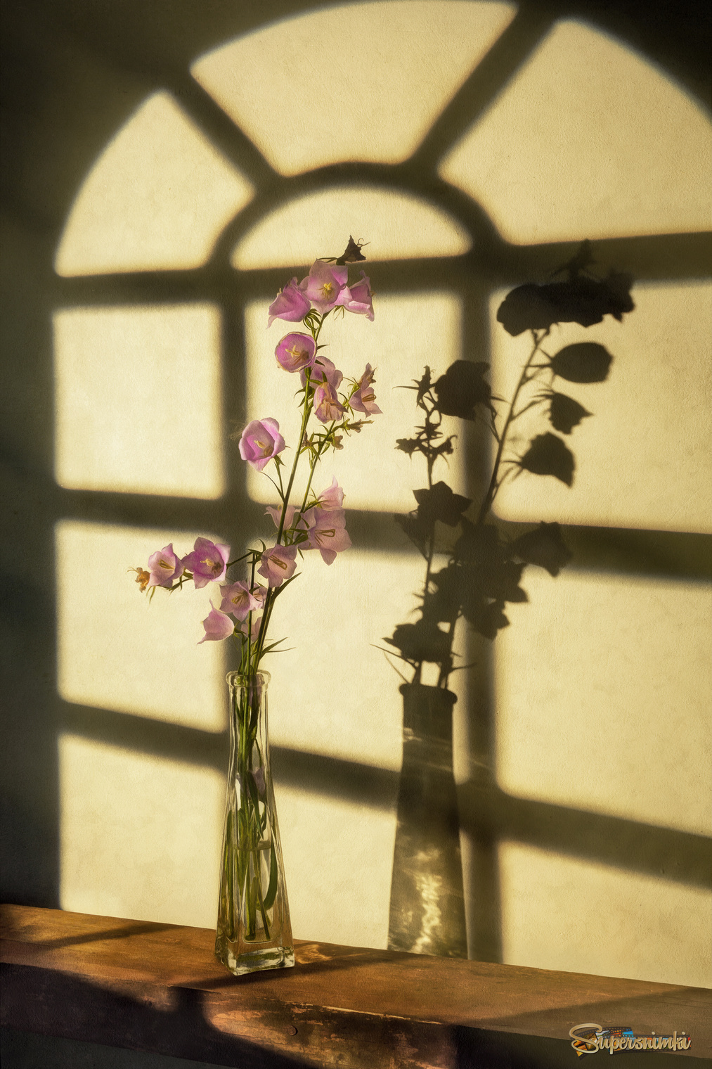 Колокольчик на закате...