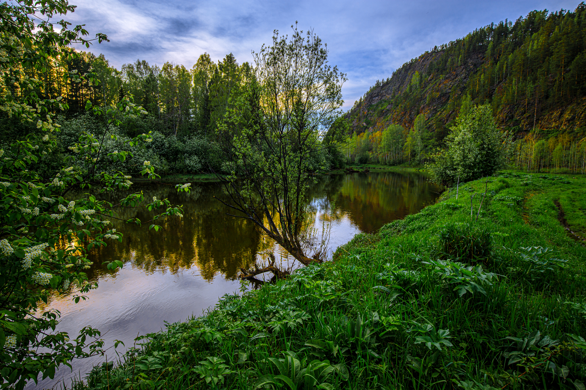 Черёмуховый вечер мая.