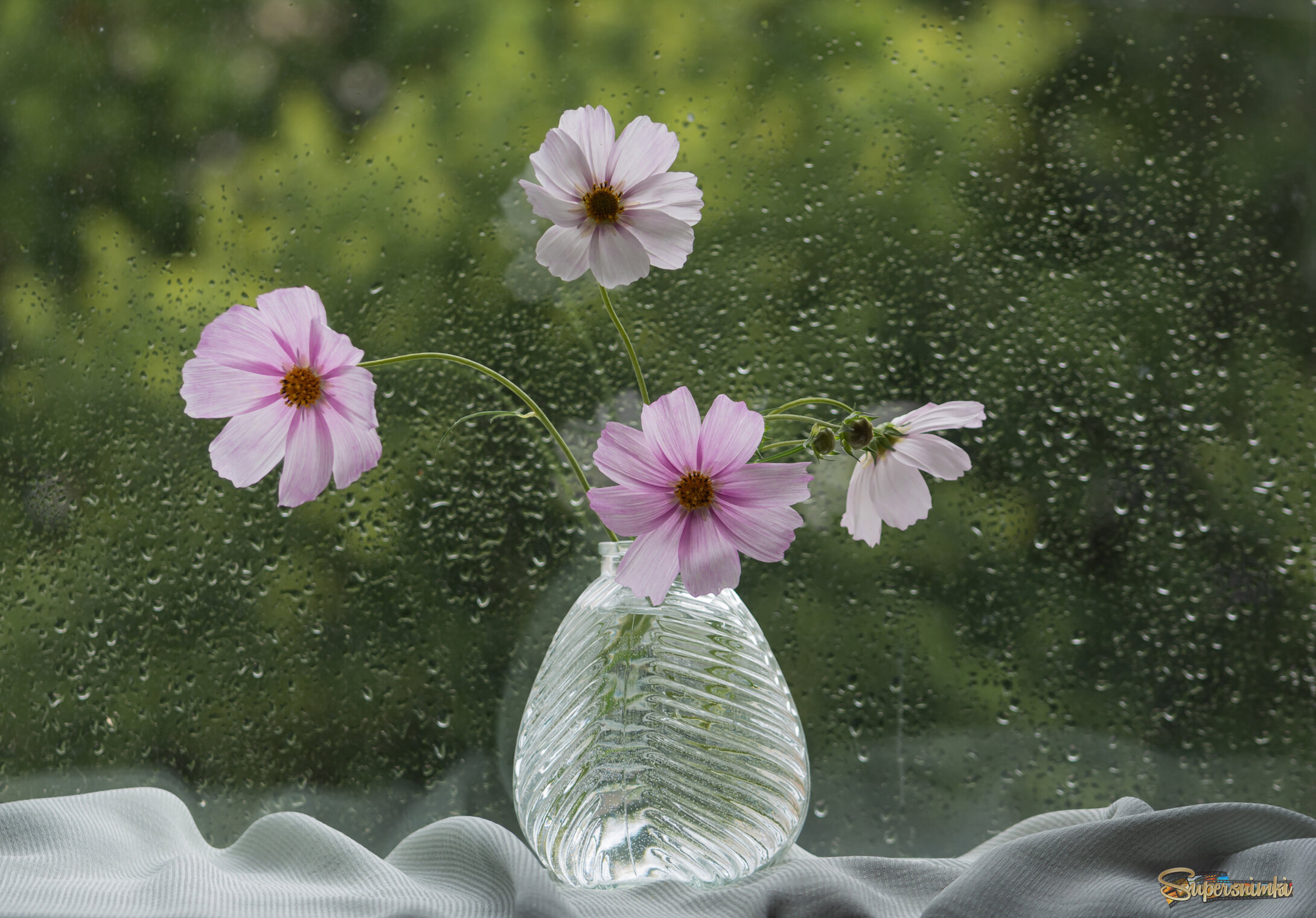 А за окном...июньский дождь...