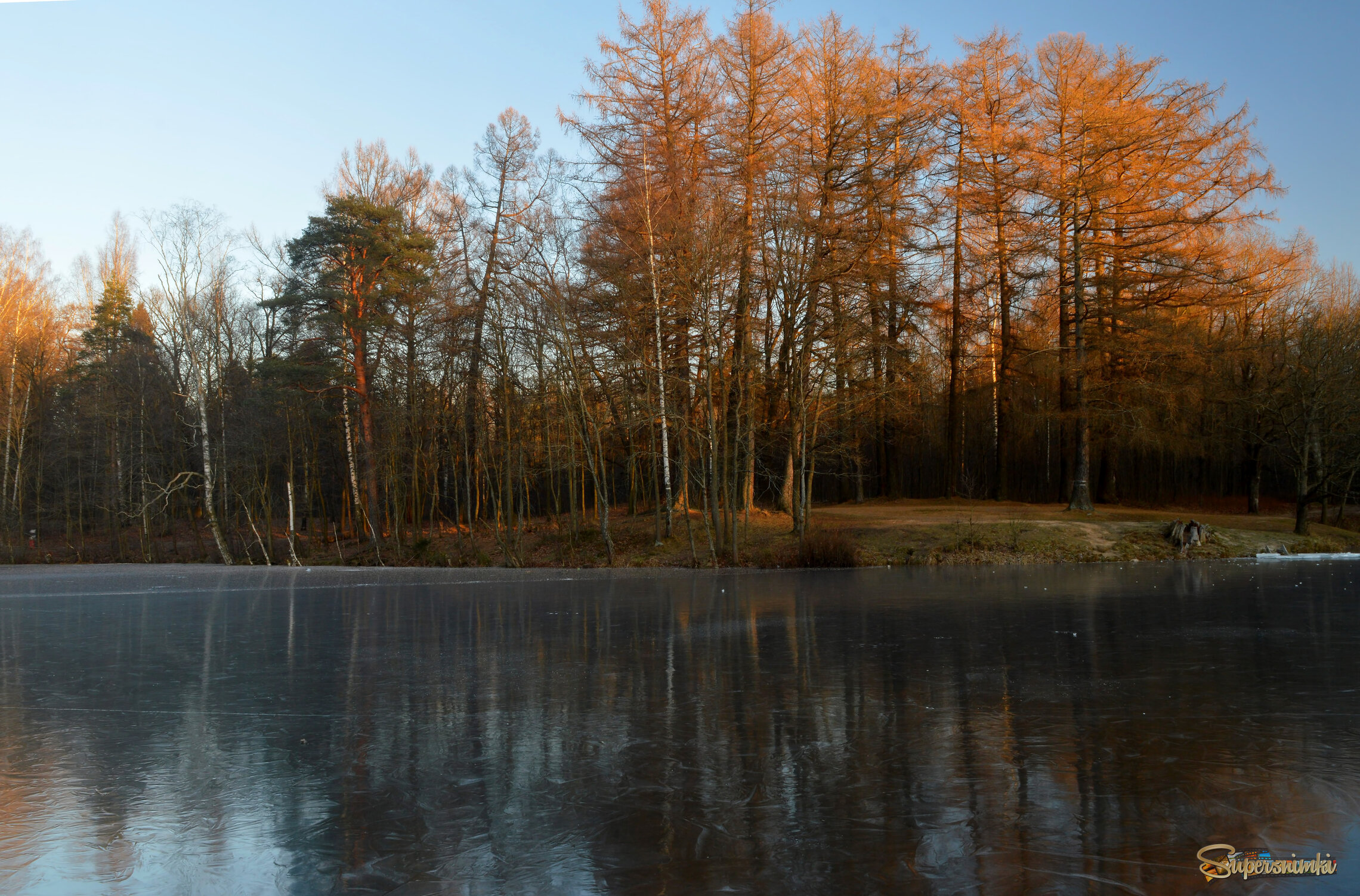 В утреннем свете........