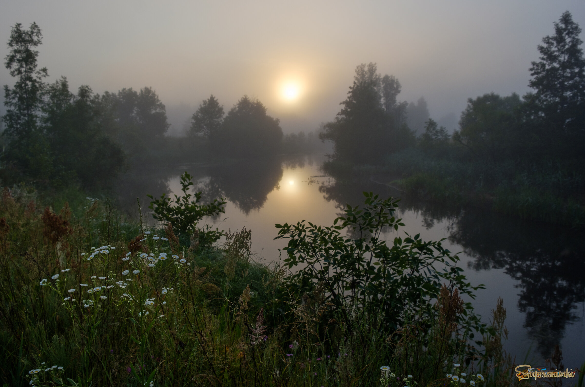 Утро туманное