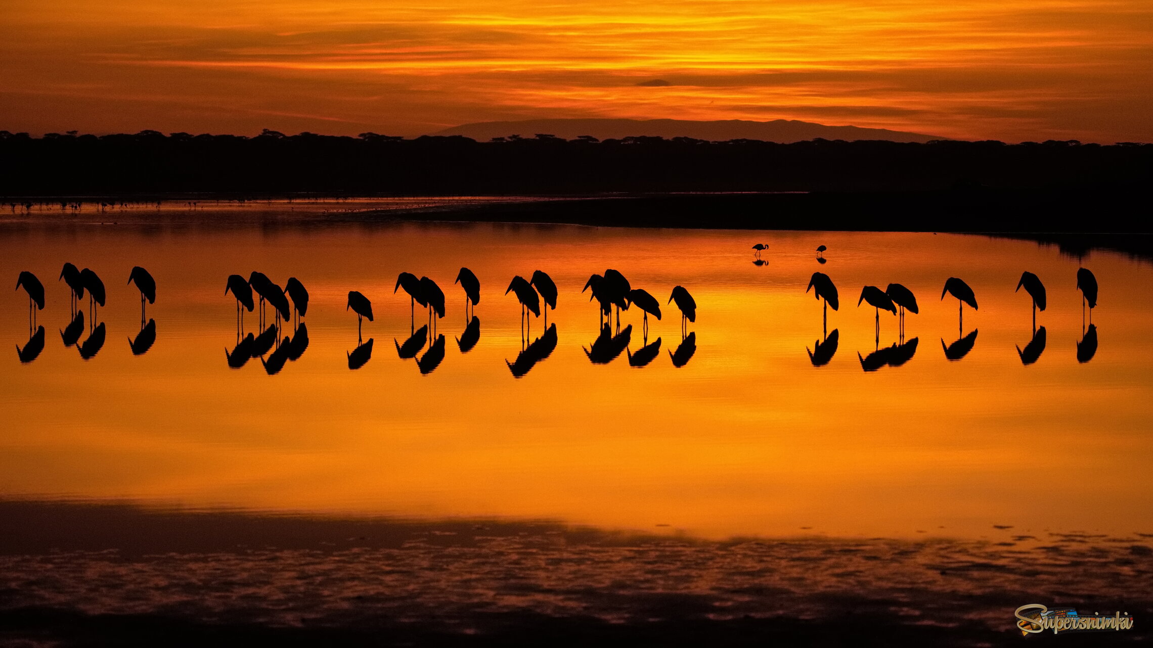 Утренний свет