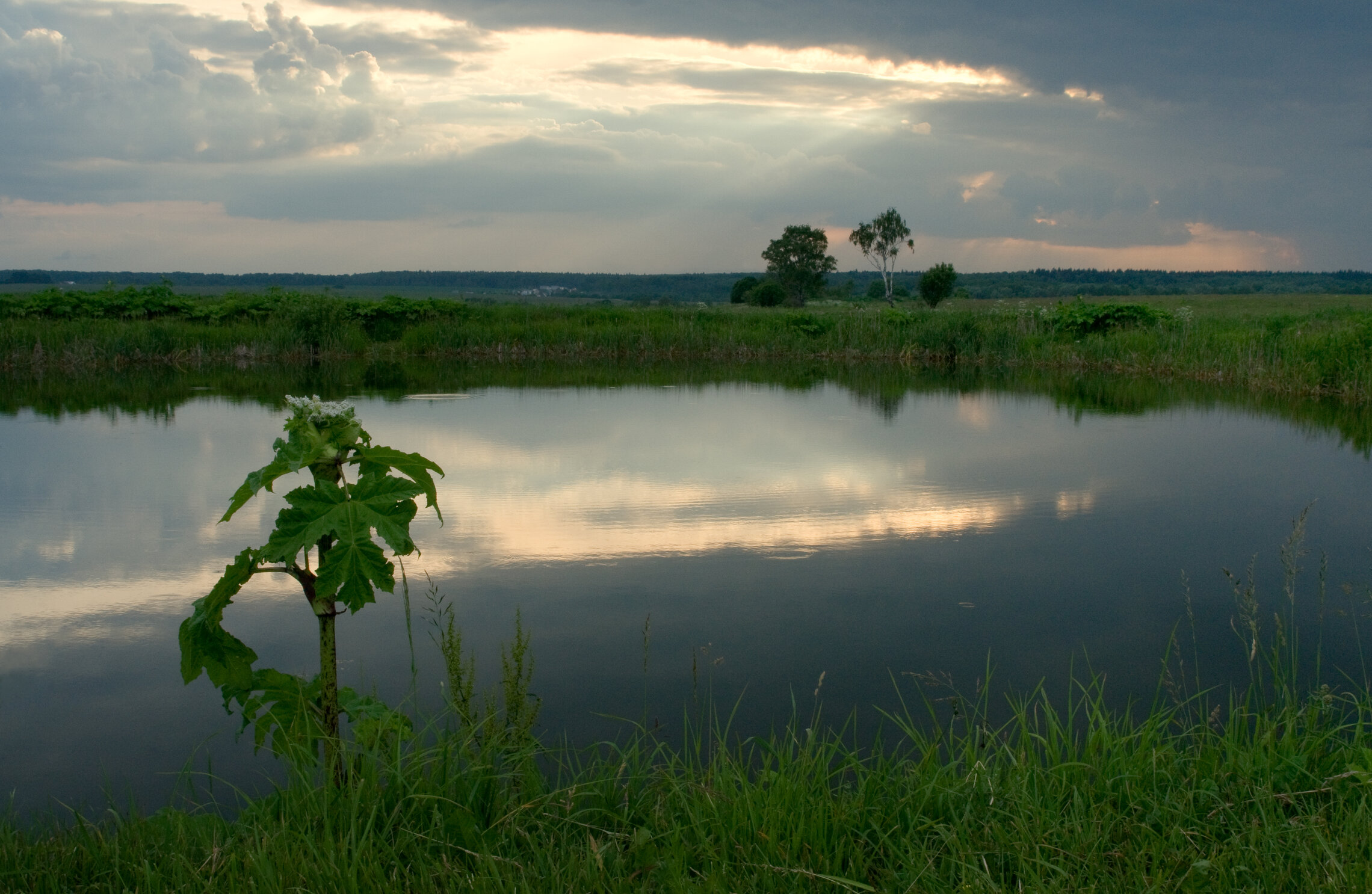 Тихий вечер