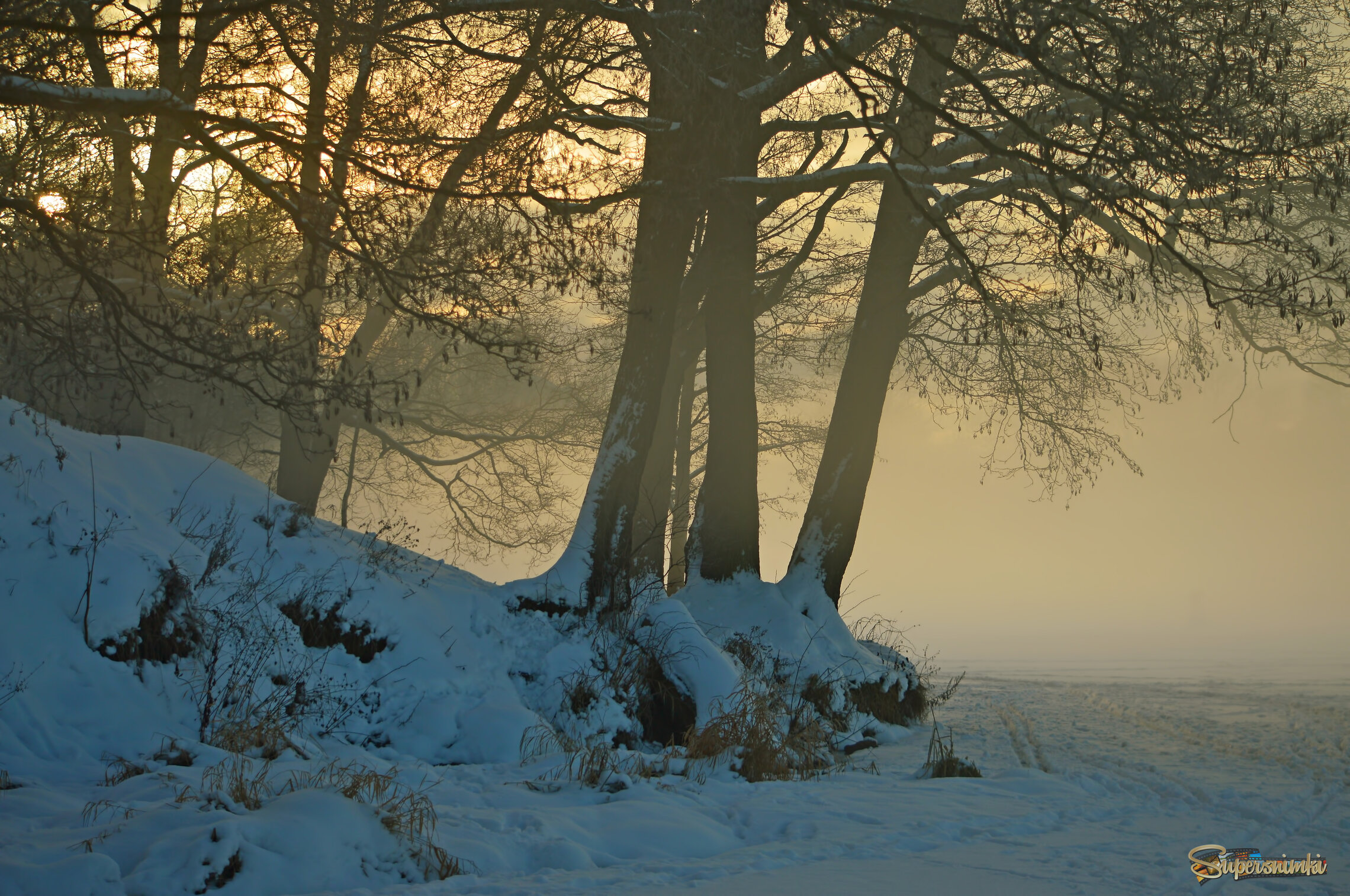 Утром туманным.......