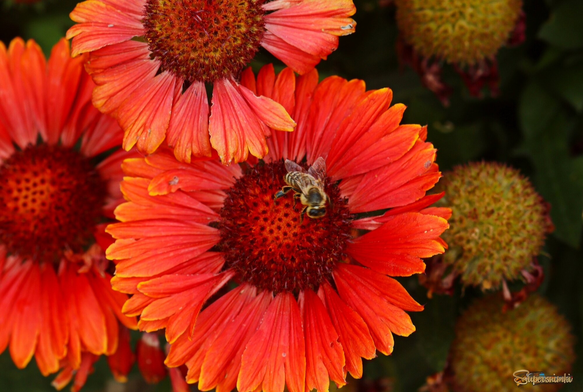 Доброе утро