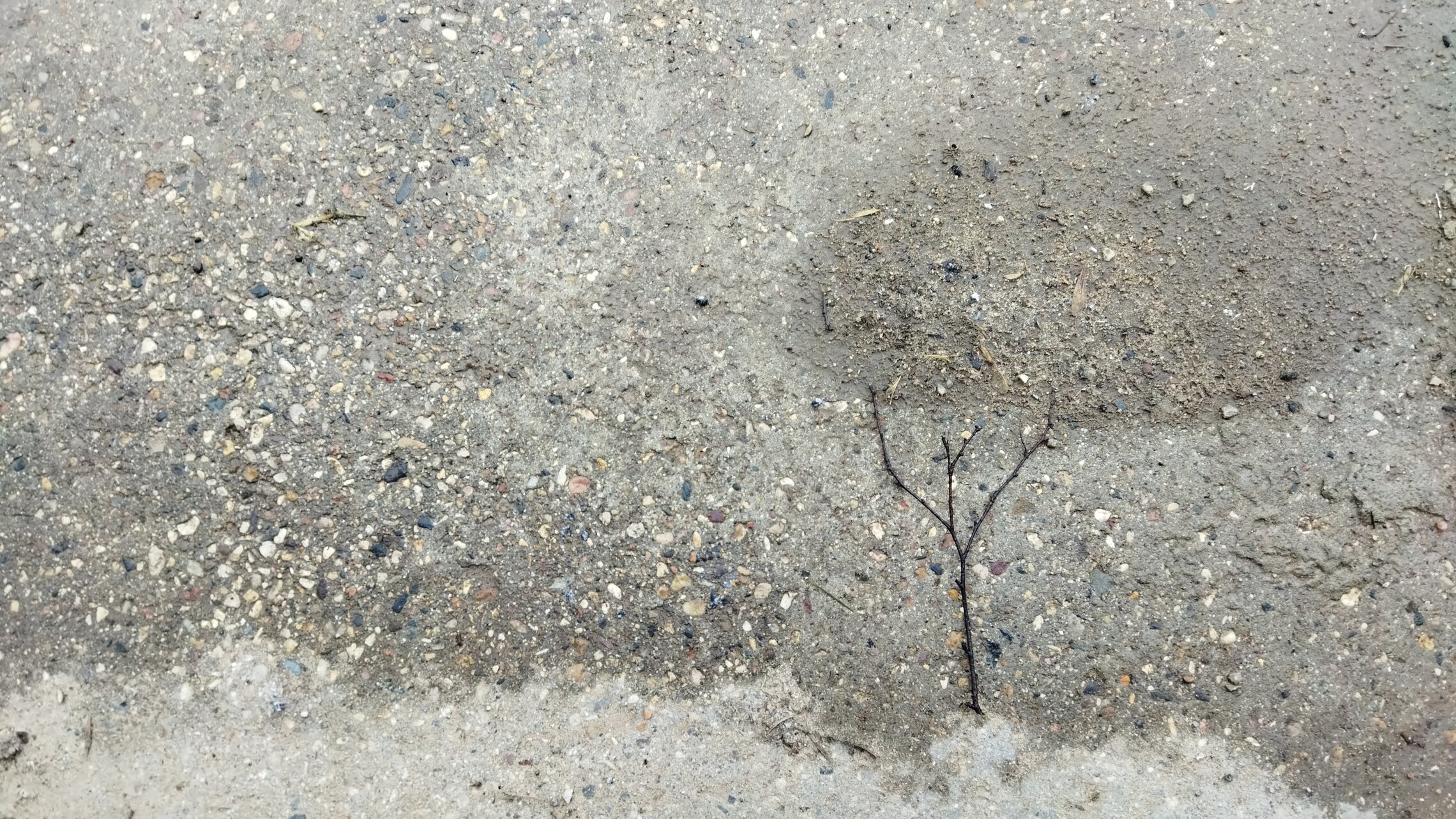 холодный ветер, не июнь