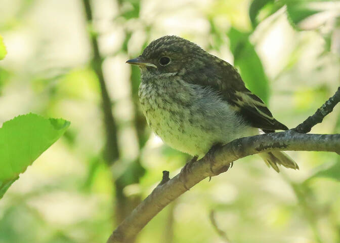 # 1
