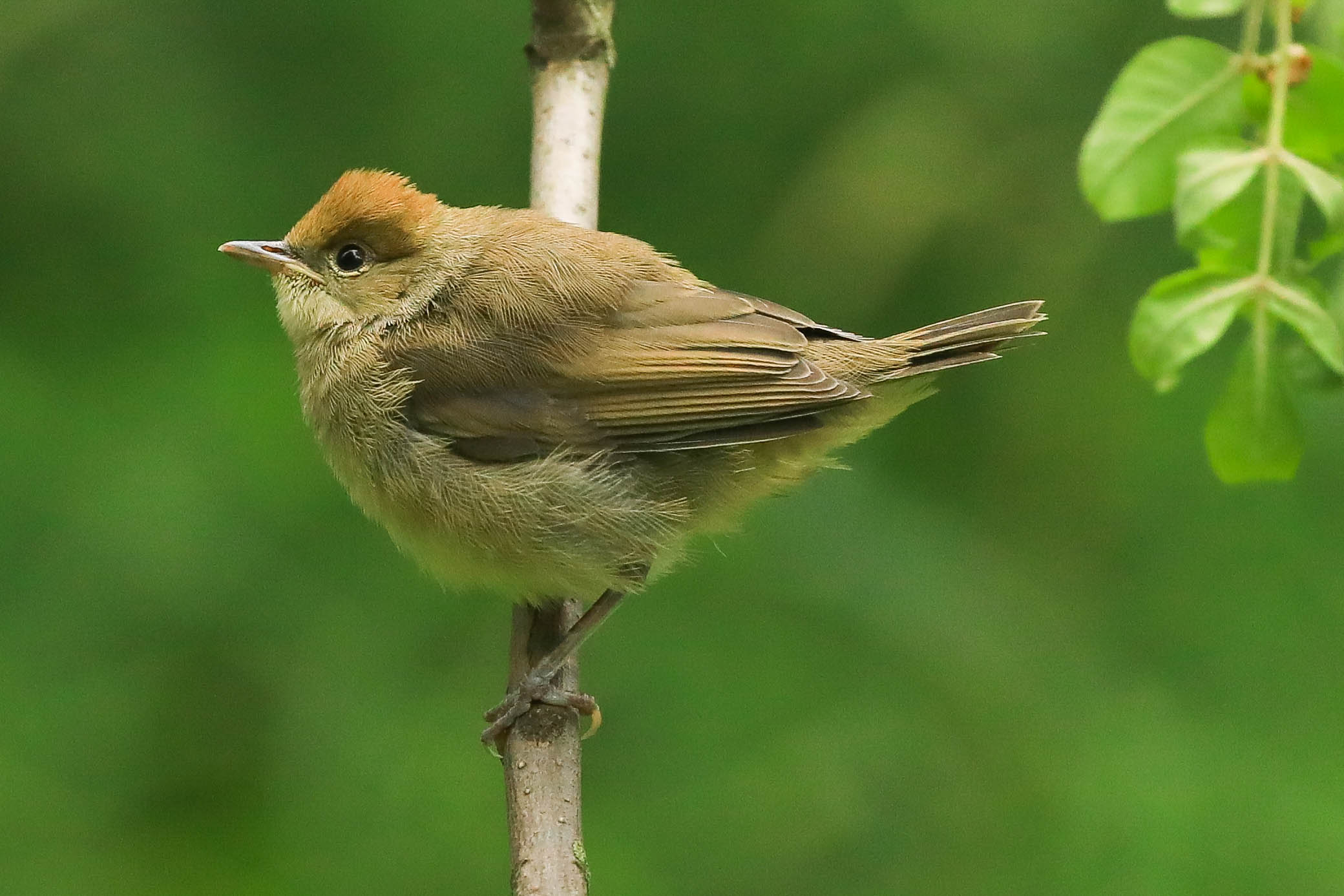 Куда же дальше?