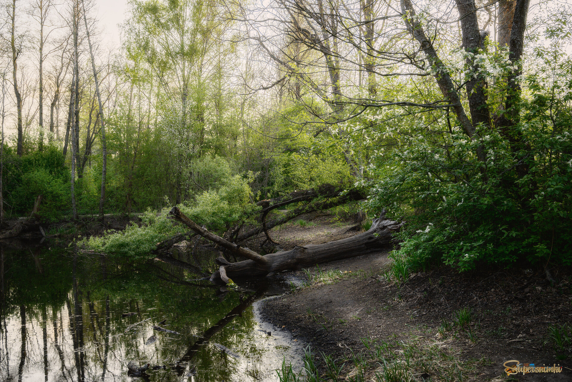 Весна на озере Тортиллы