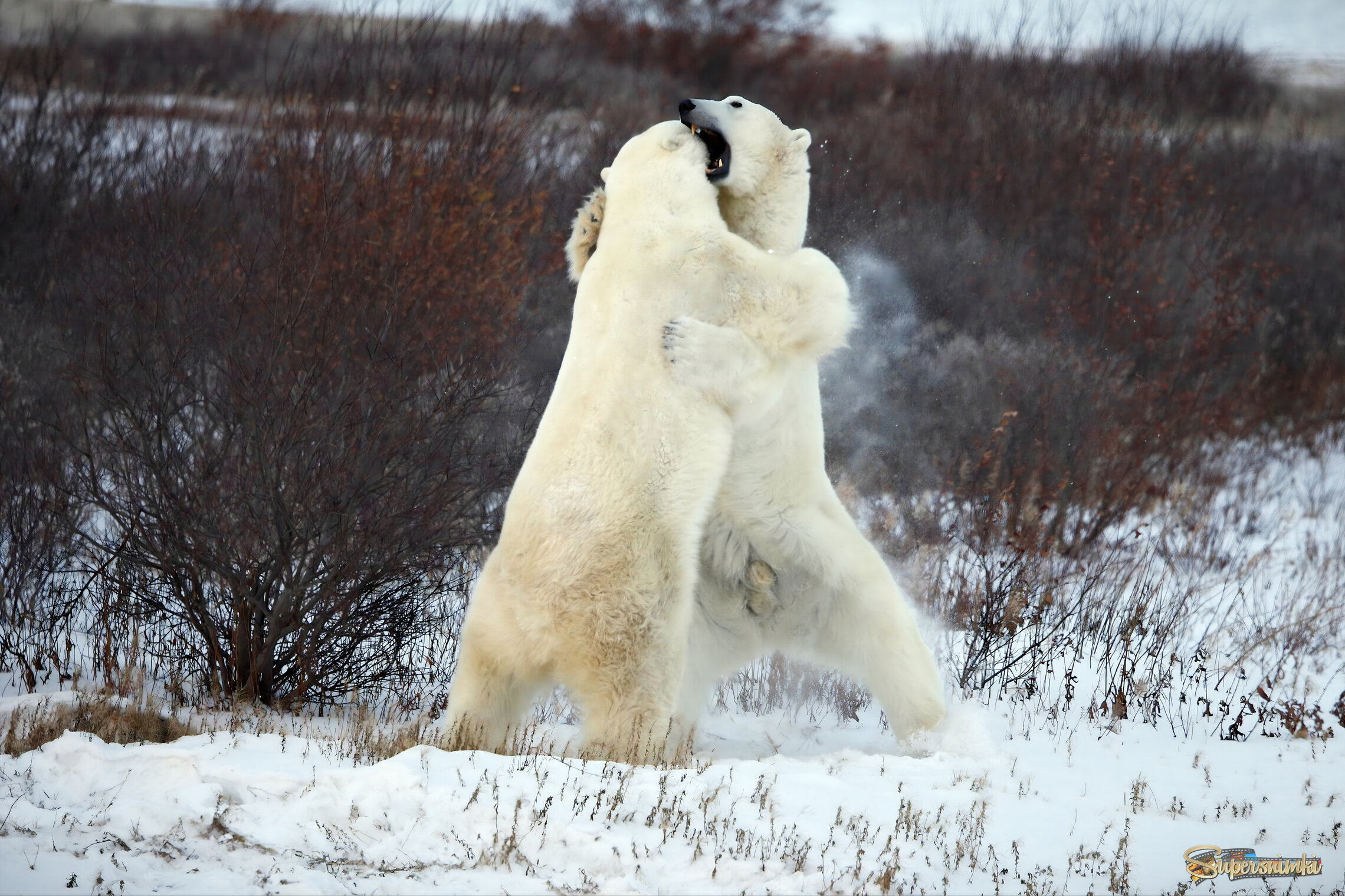Дай я тебе тайну расскажу!