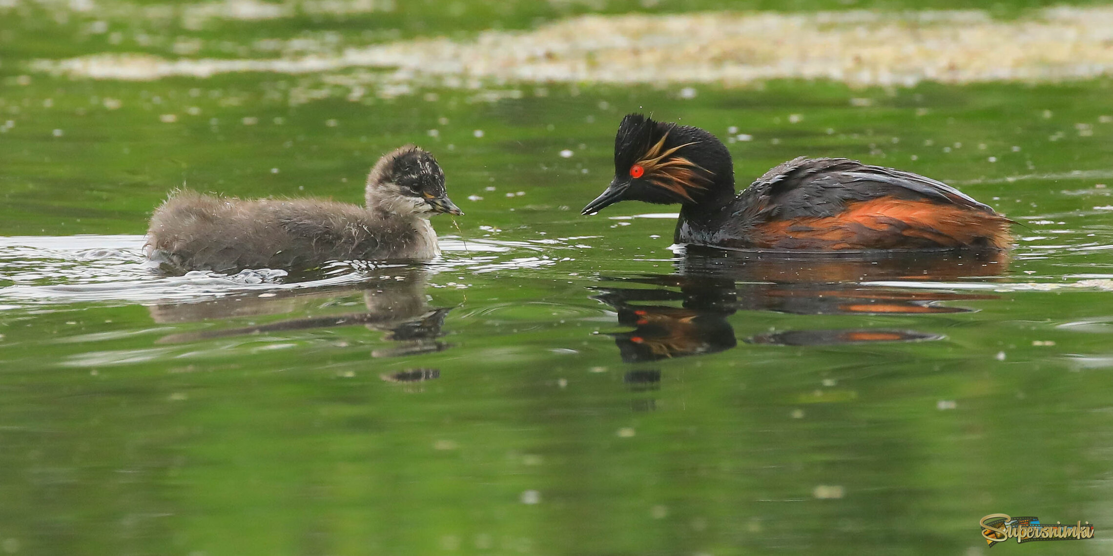 Пока совсем непохожие