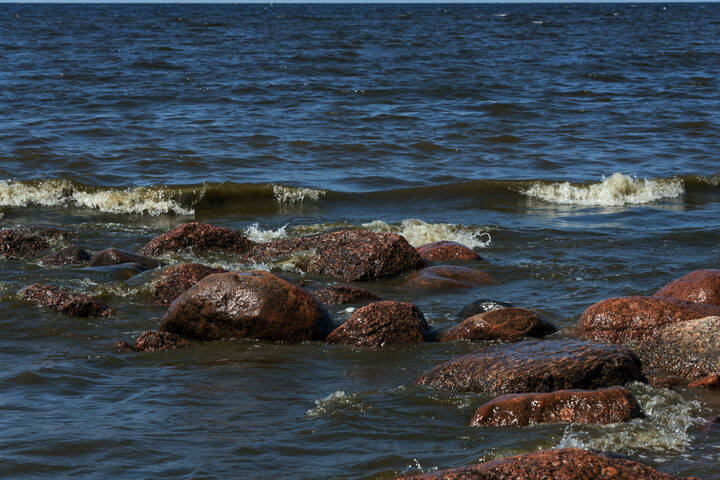 Море. Камни.