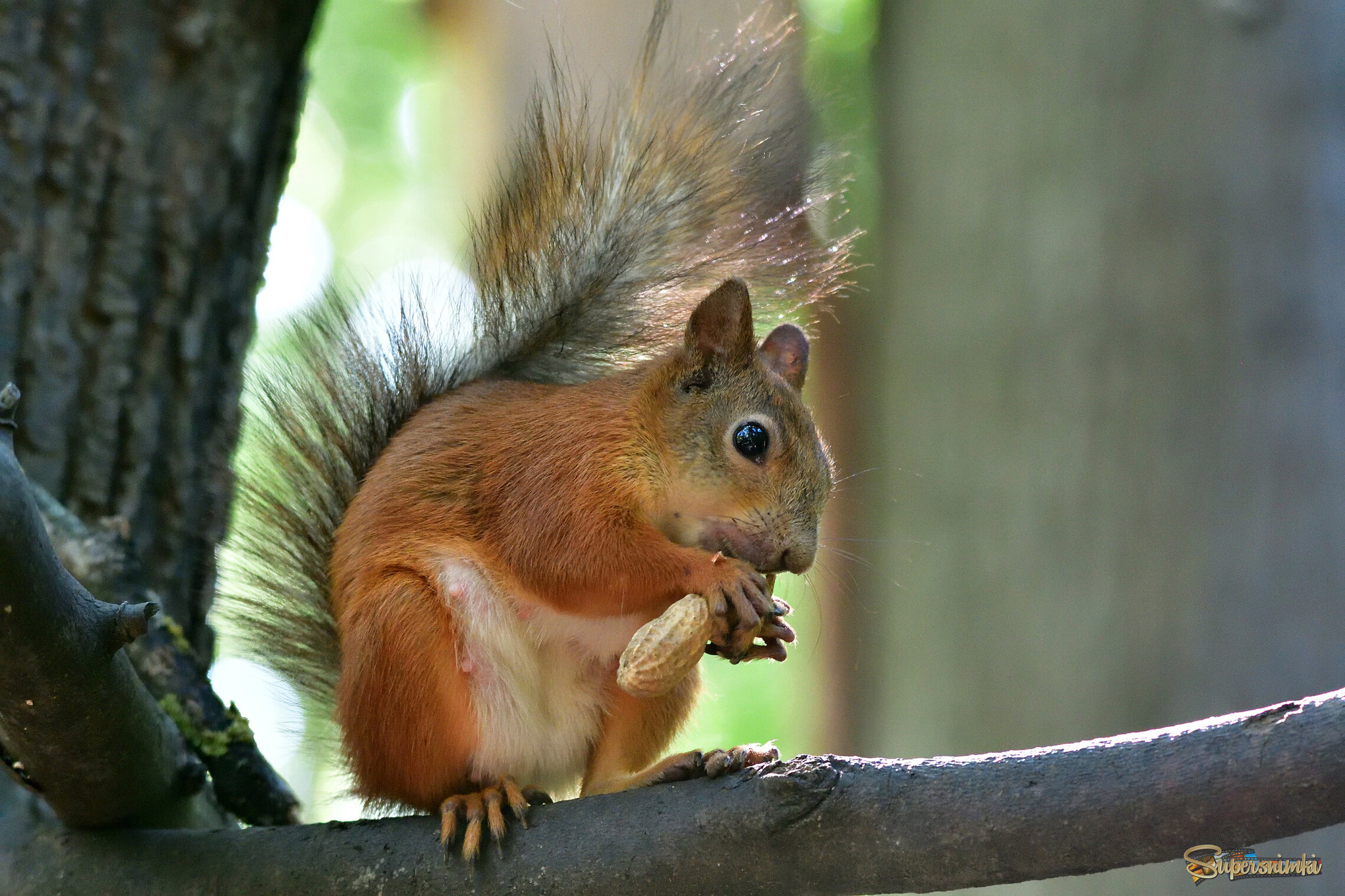 686646c684ef155936dc516d