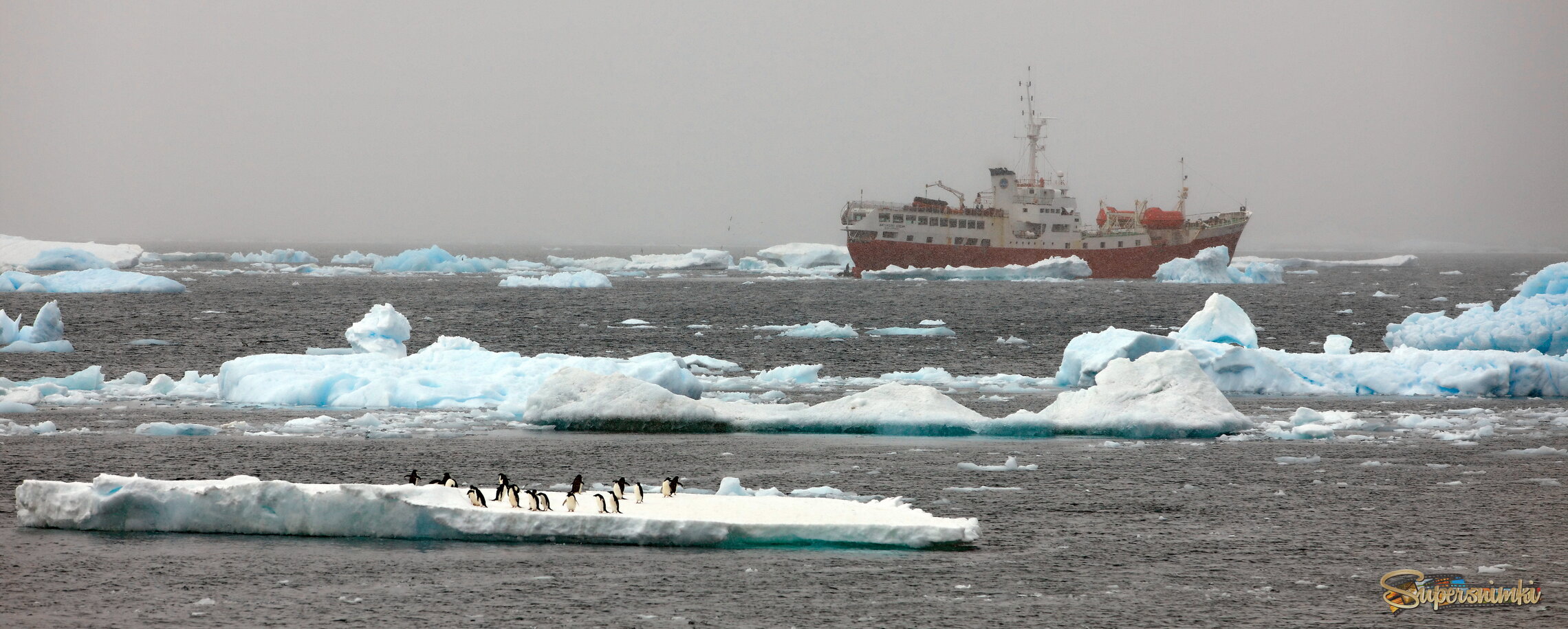 Хозяева и гости