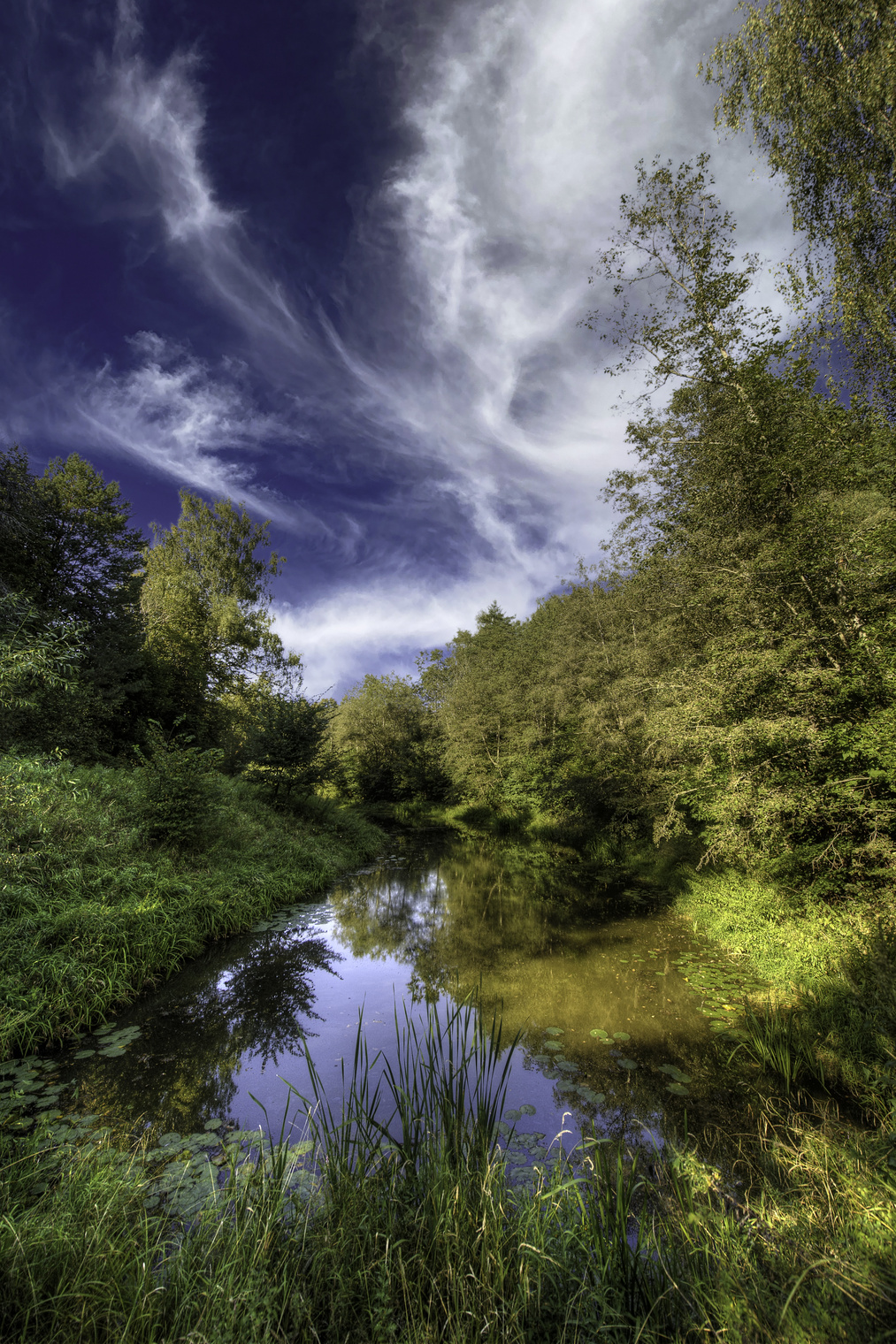 landscape Заводь реки Лама